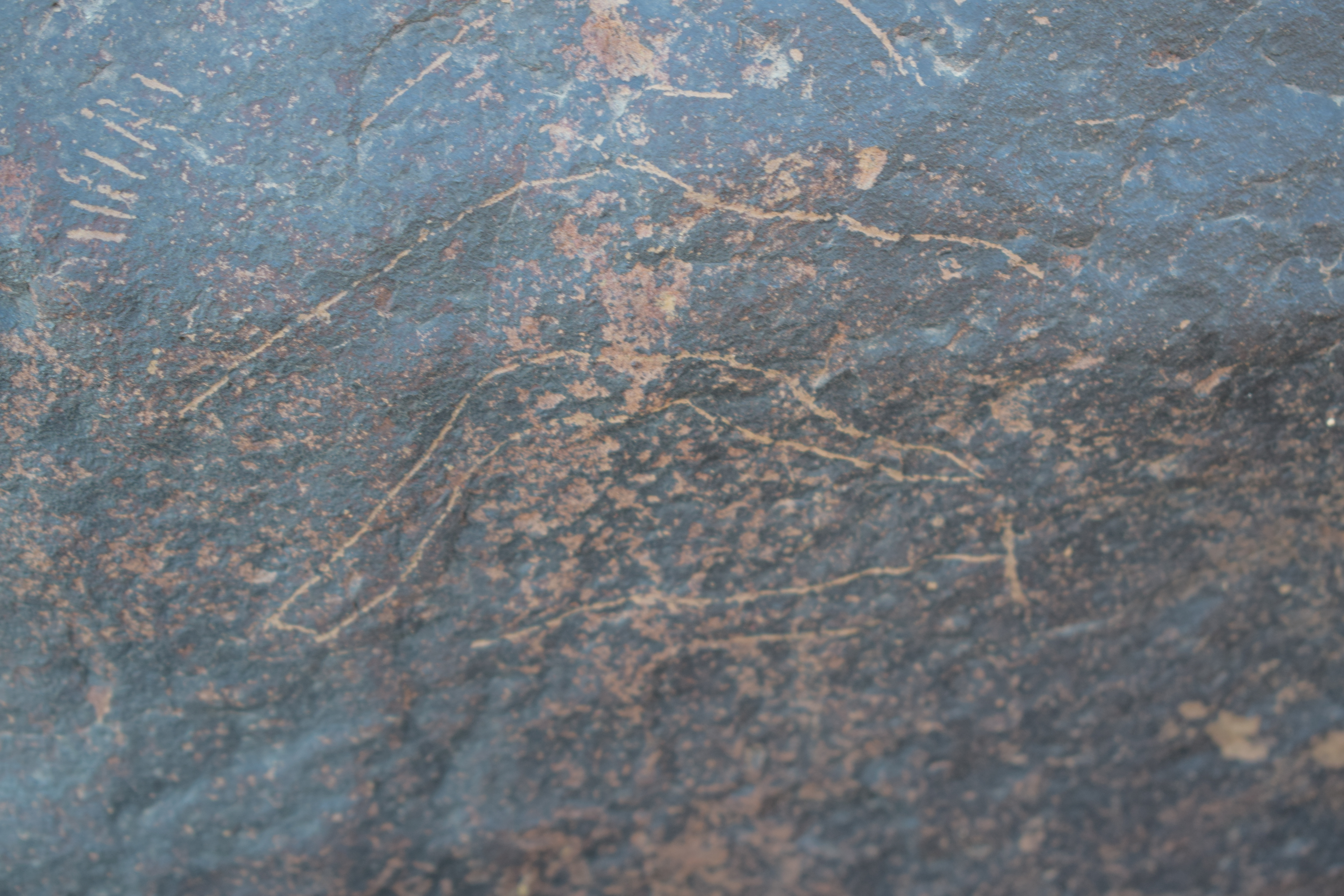 Image of siglum BES20 1690