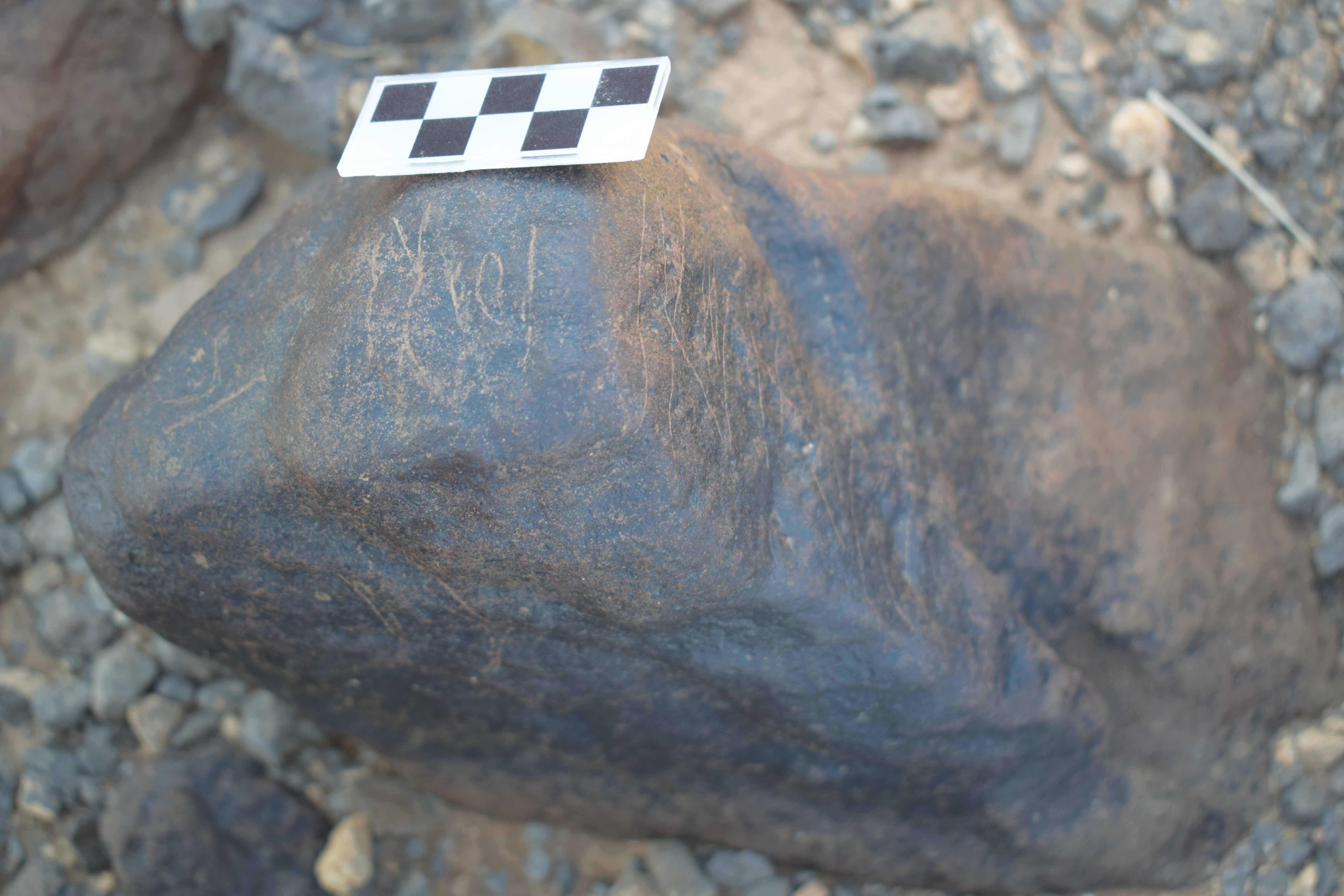 Image of siglum BES20 1691