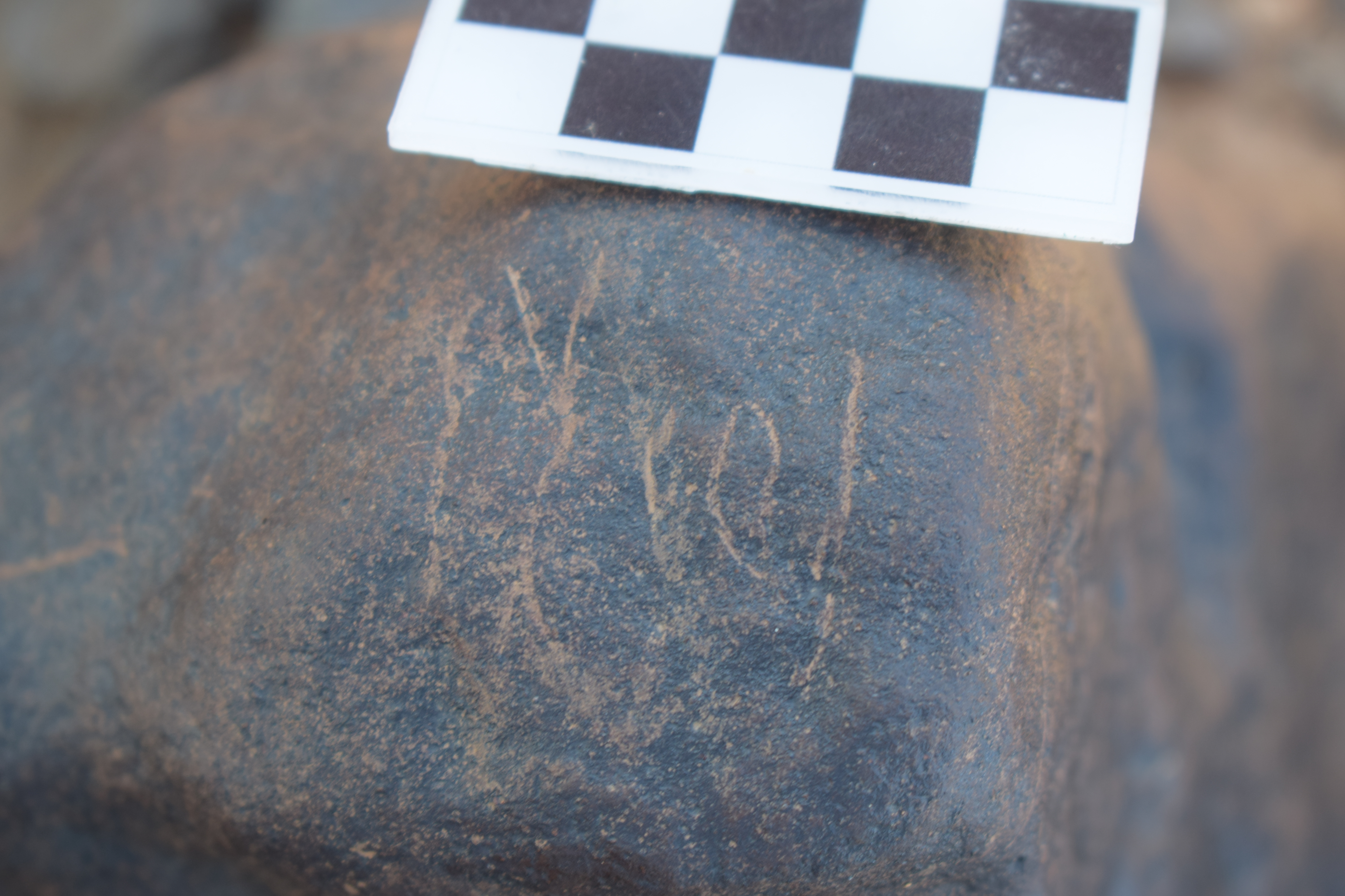 Image of siglum BES20 1691