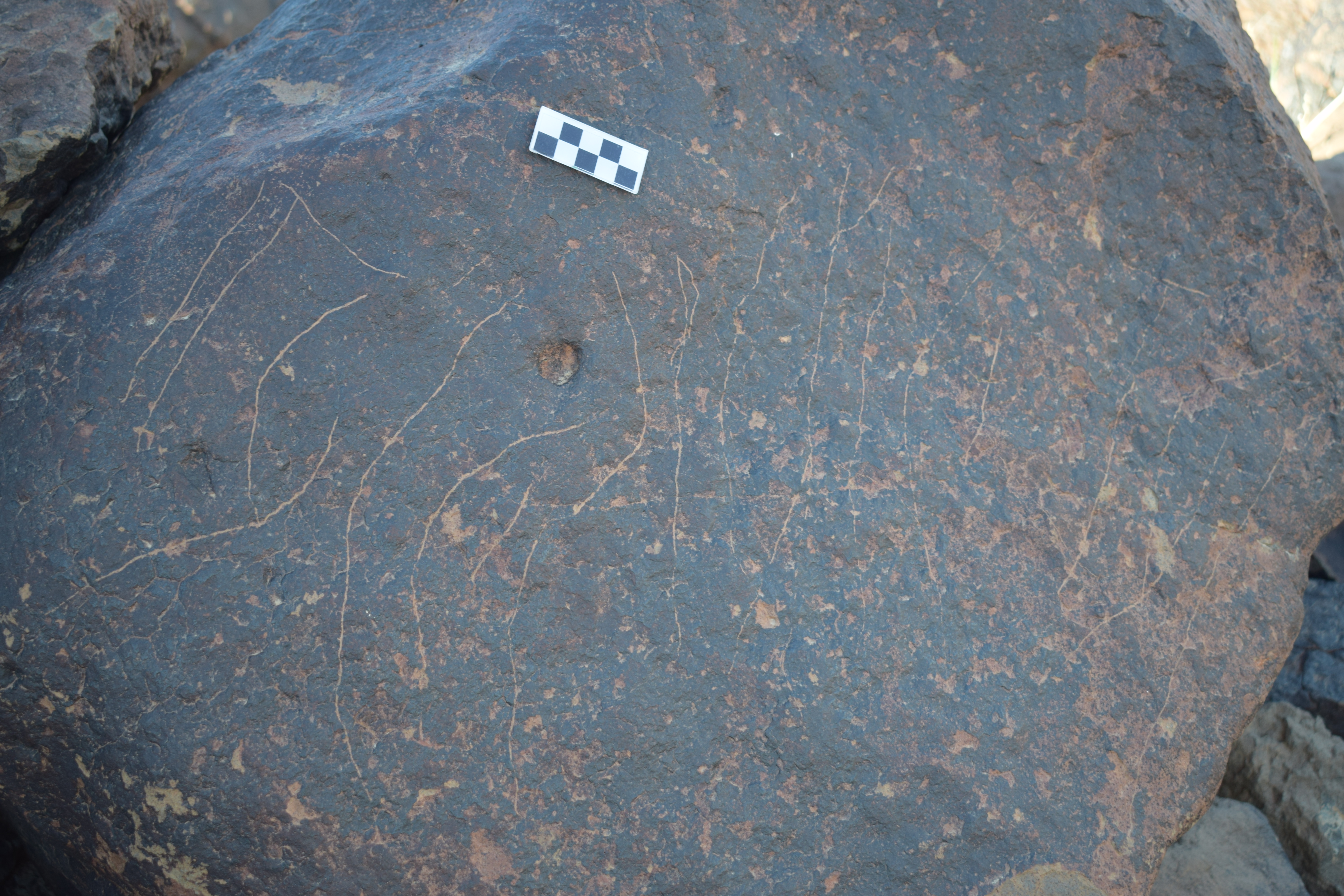 Image of siglum BES20 1692