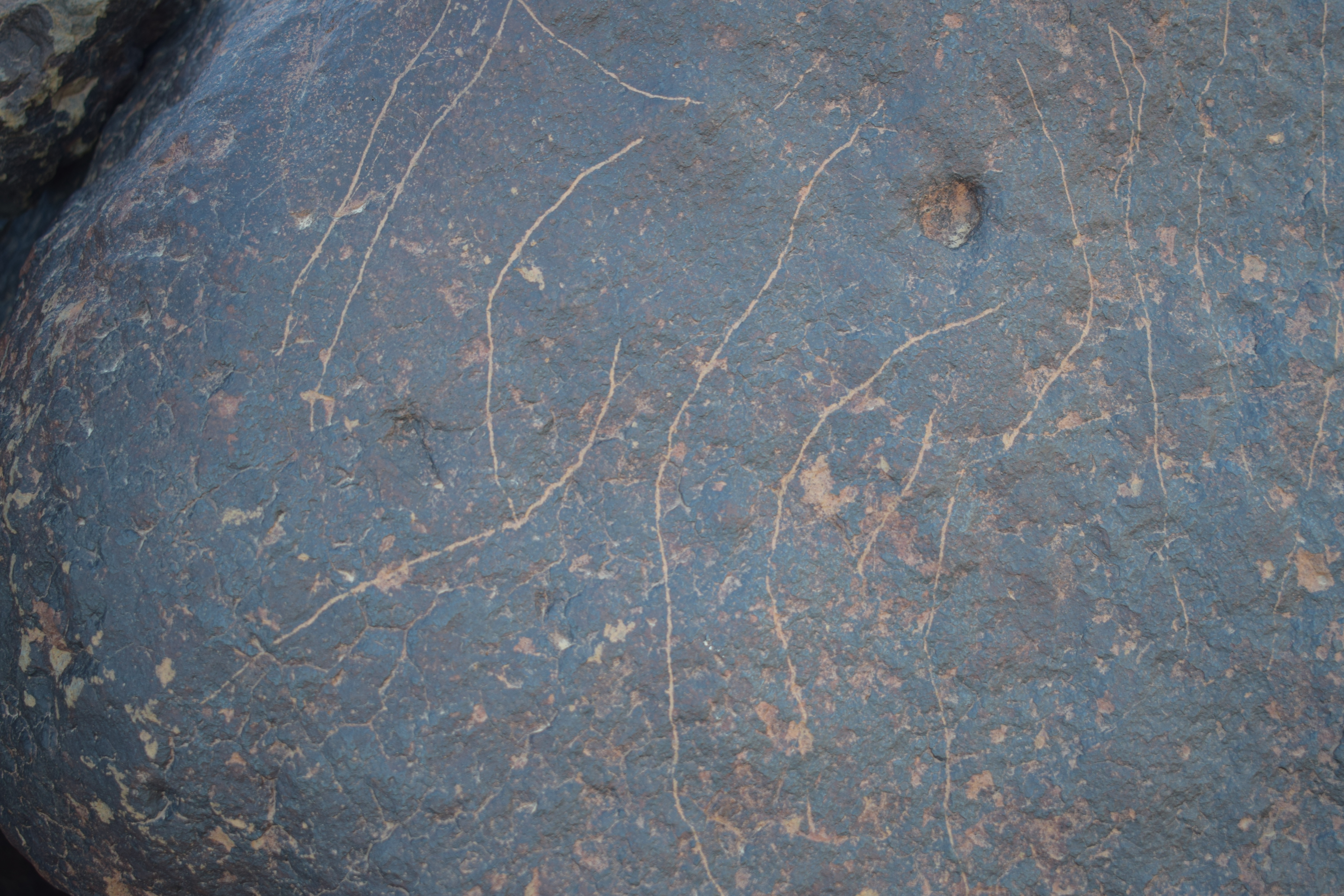 Image of siglum BES20 1692