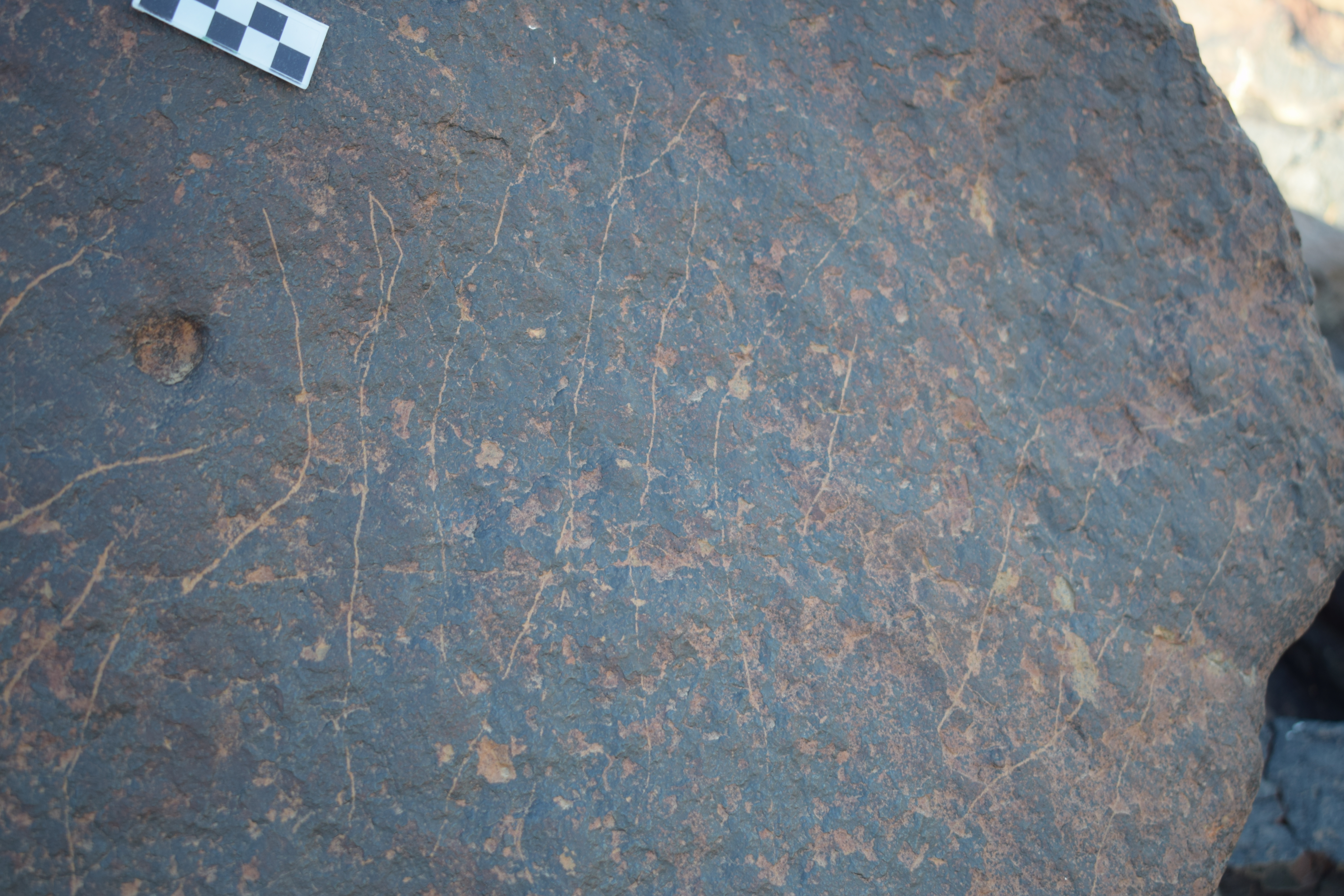 Image of siglum BES20 1692