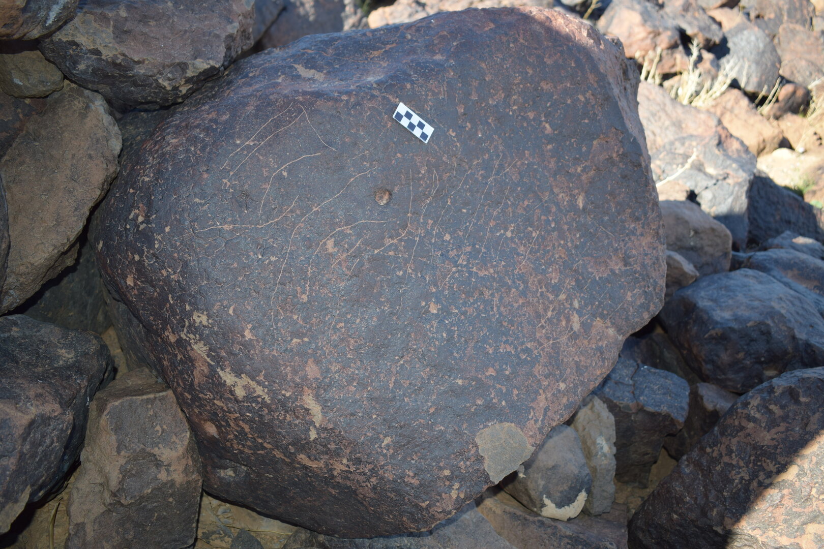 Image of siglum BES20 1692