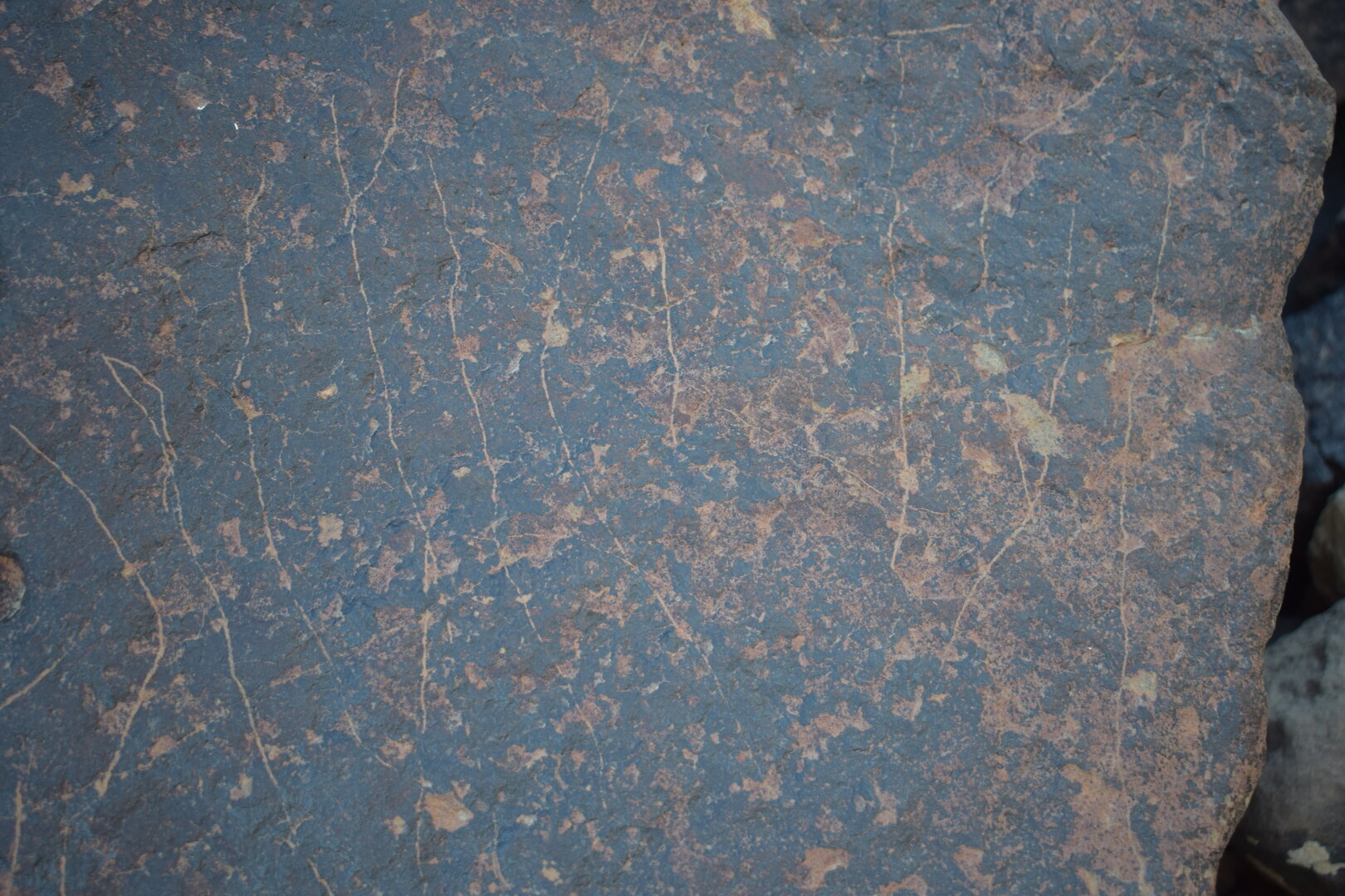 Image of siglum BES20 1692