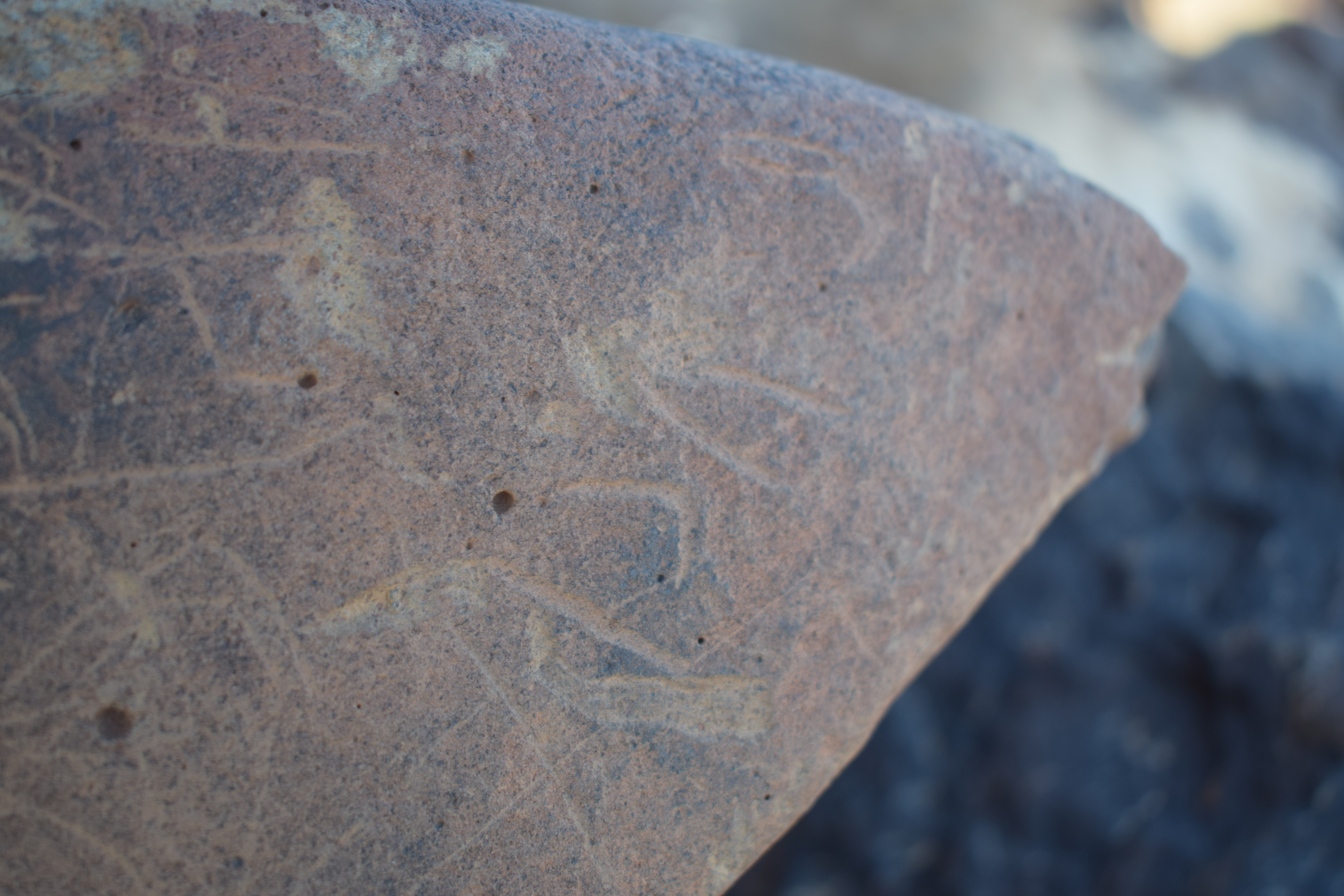 Image of siglum BES20 1693