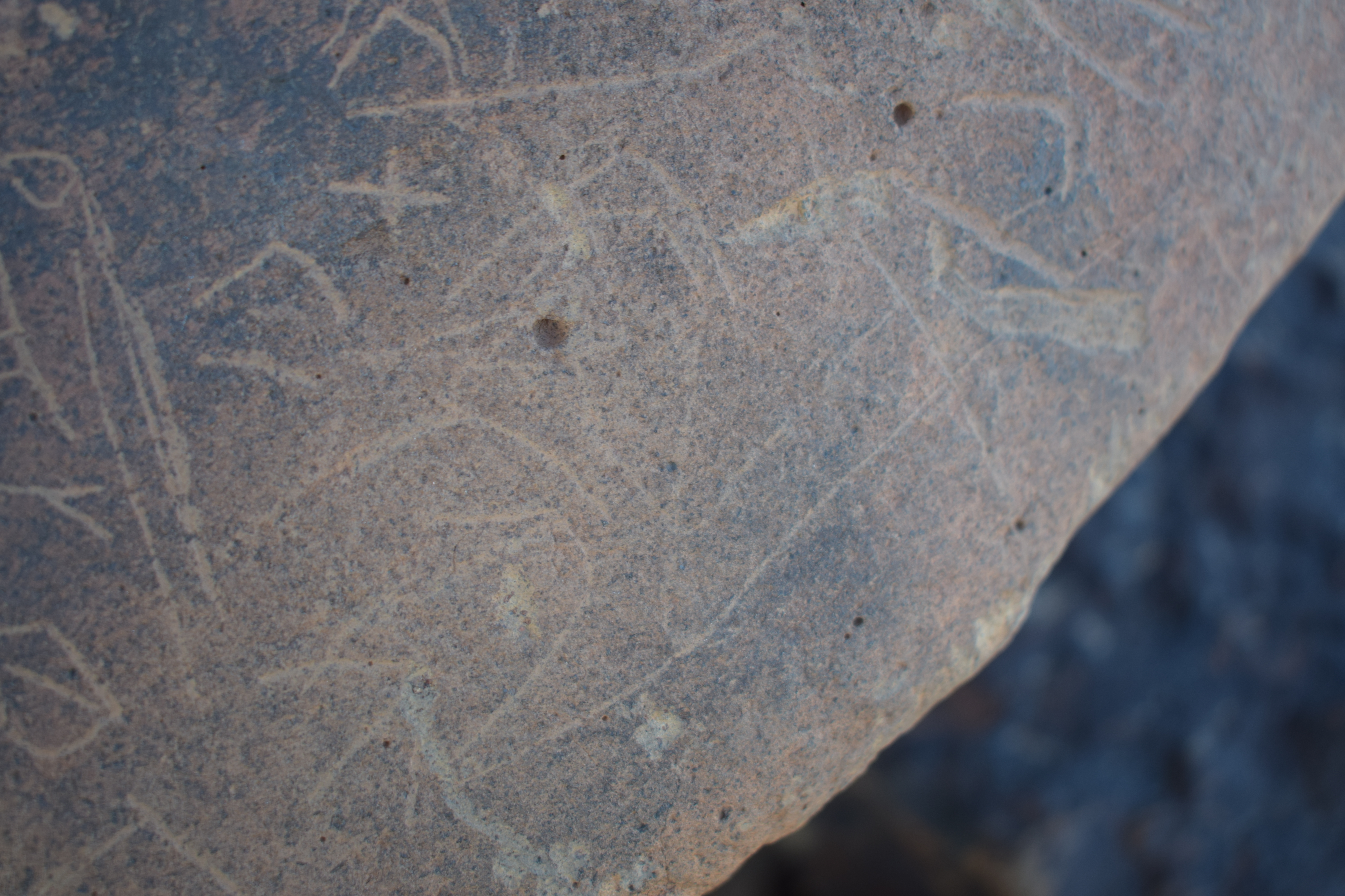 Image of siglum BES20 1694