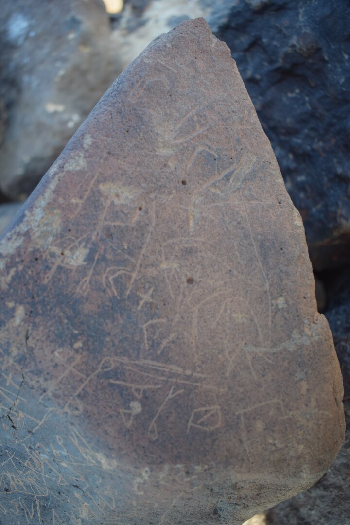 Image of siglum BES20 1695