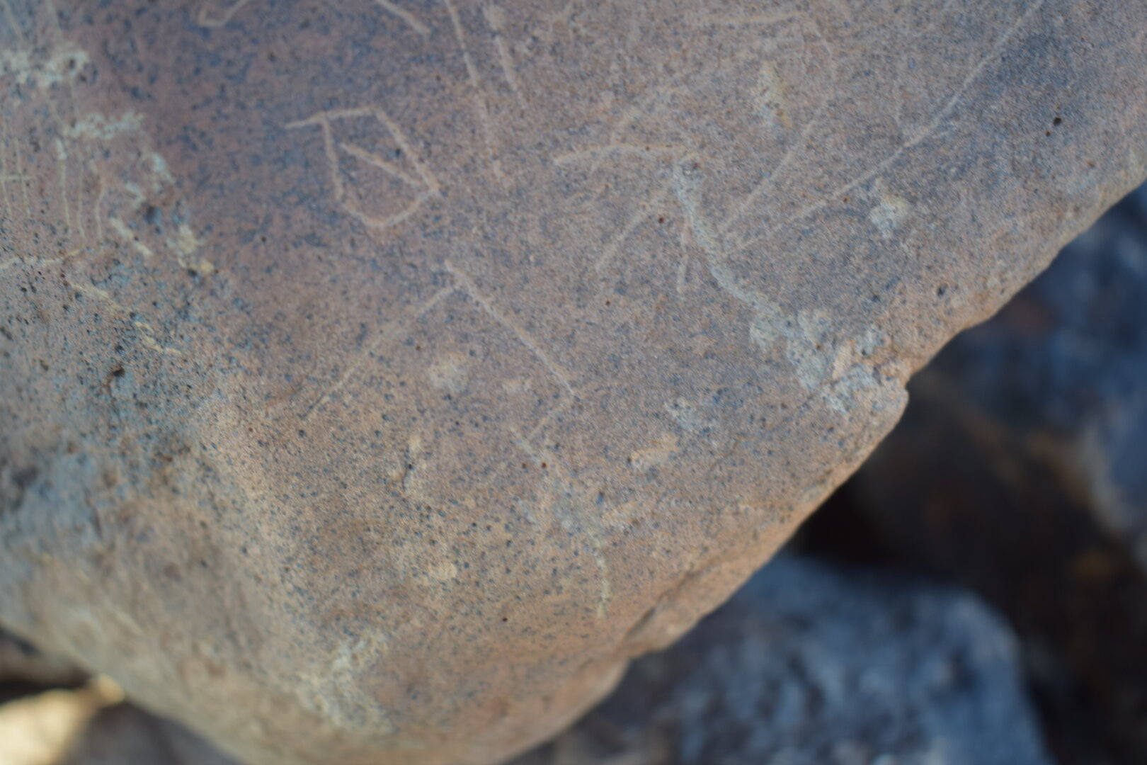 Image of siglum BES20 1695