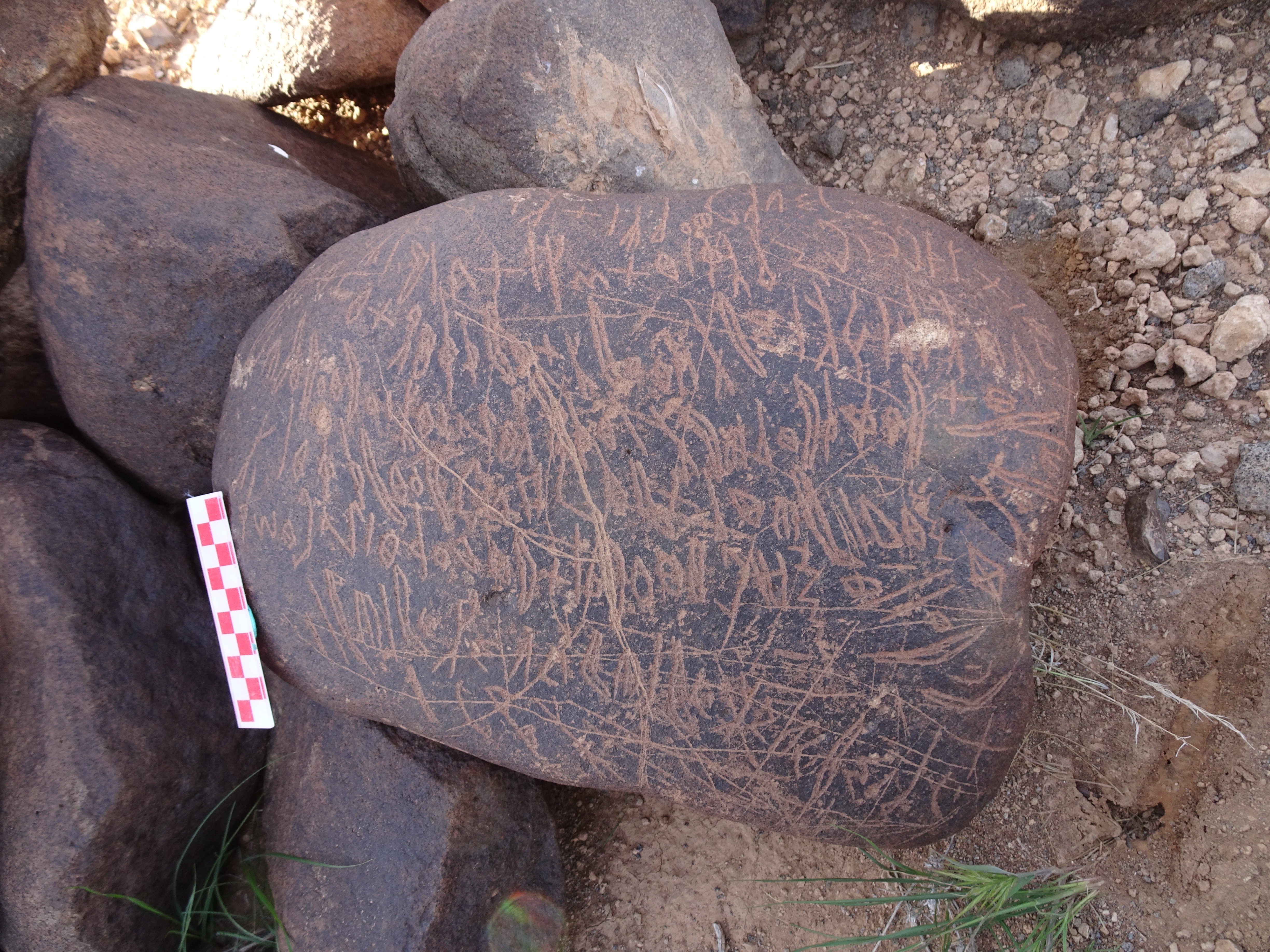 Image of siglum BES20 1699