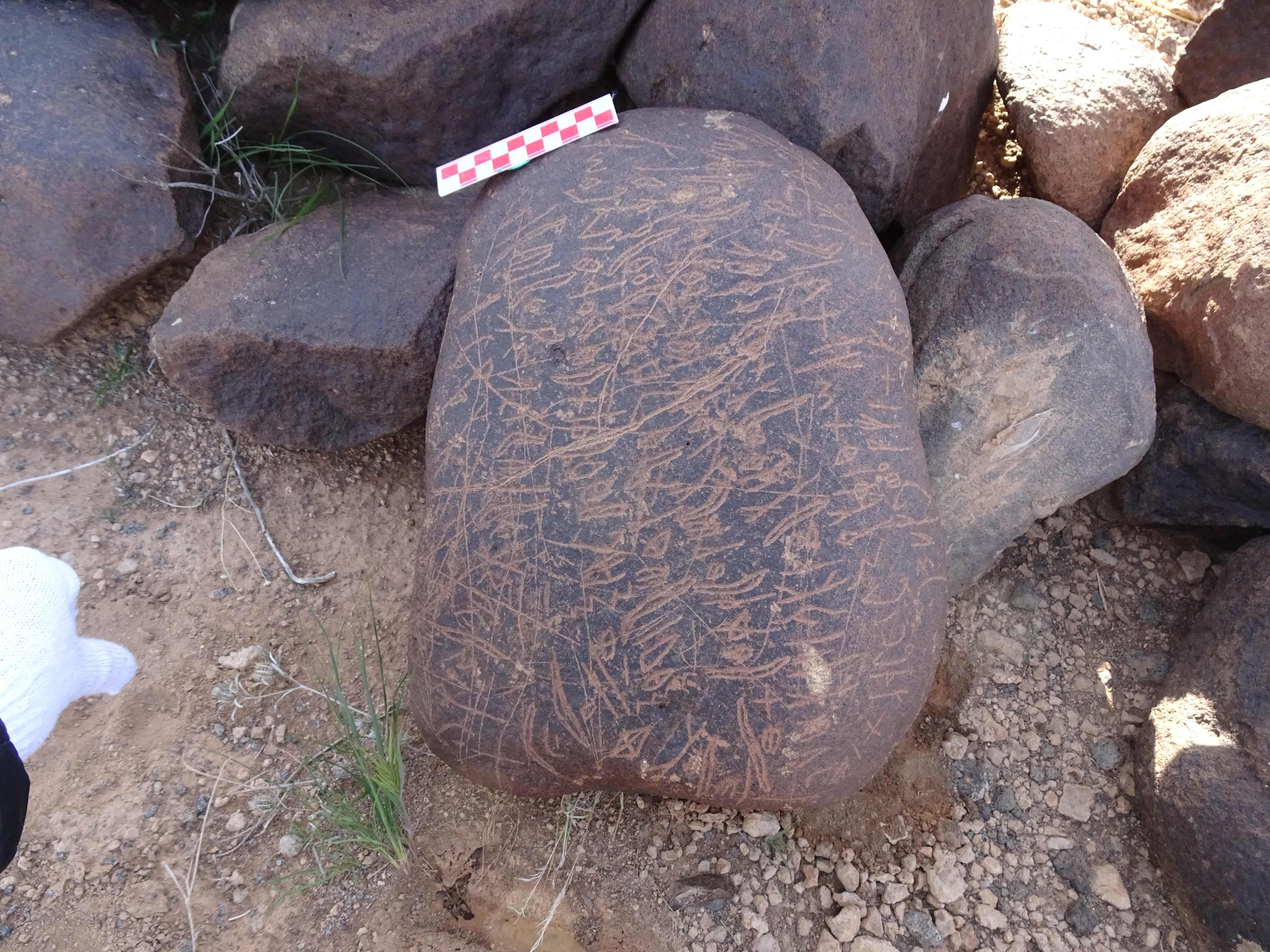 Image of siglum BES20 1699