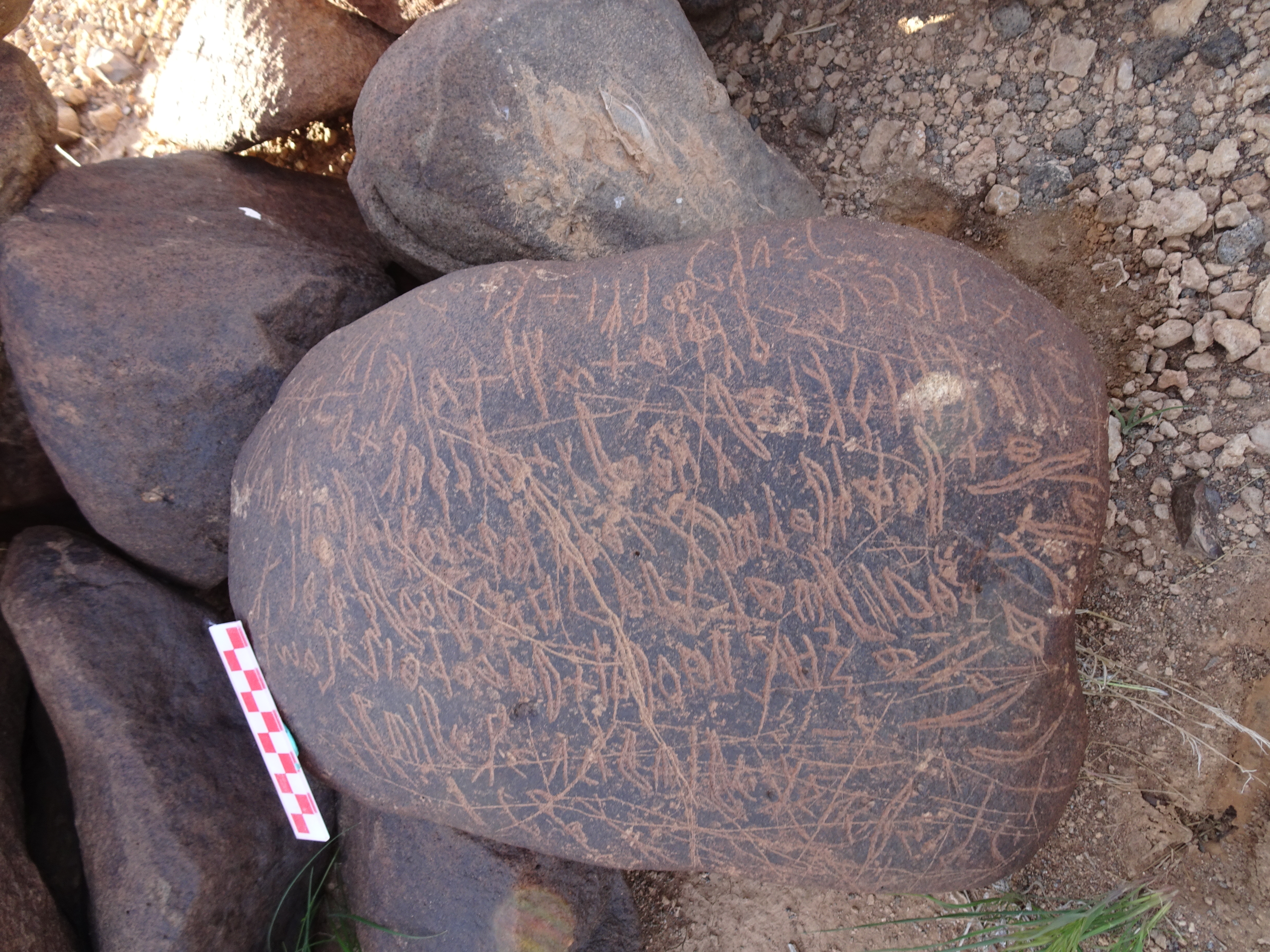 Image of siglum BES20 1699