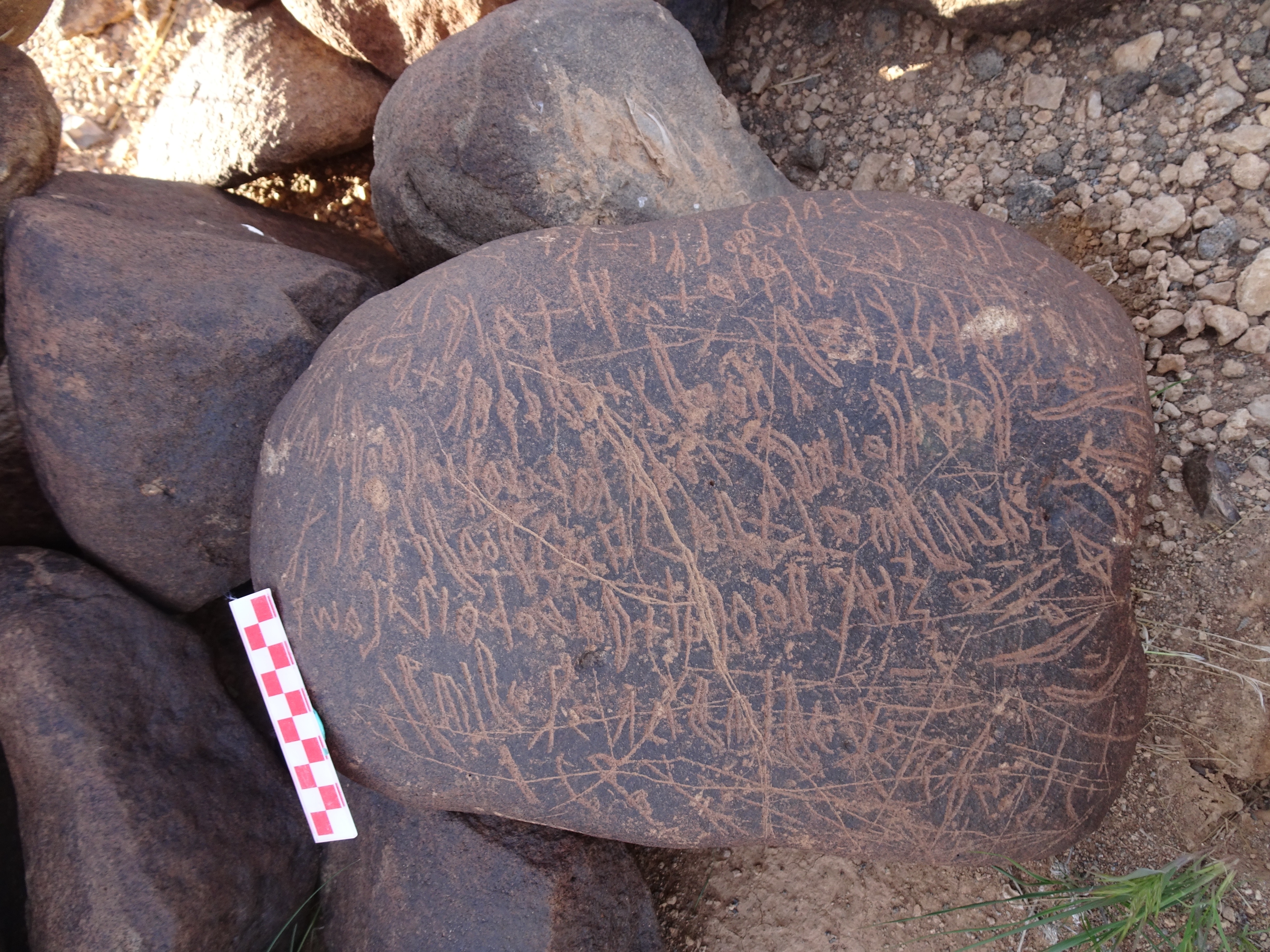 Image of siglum BES20 1699