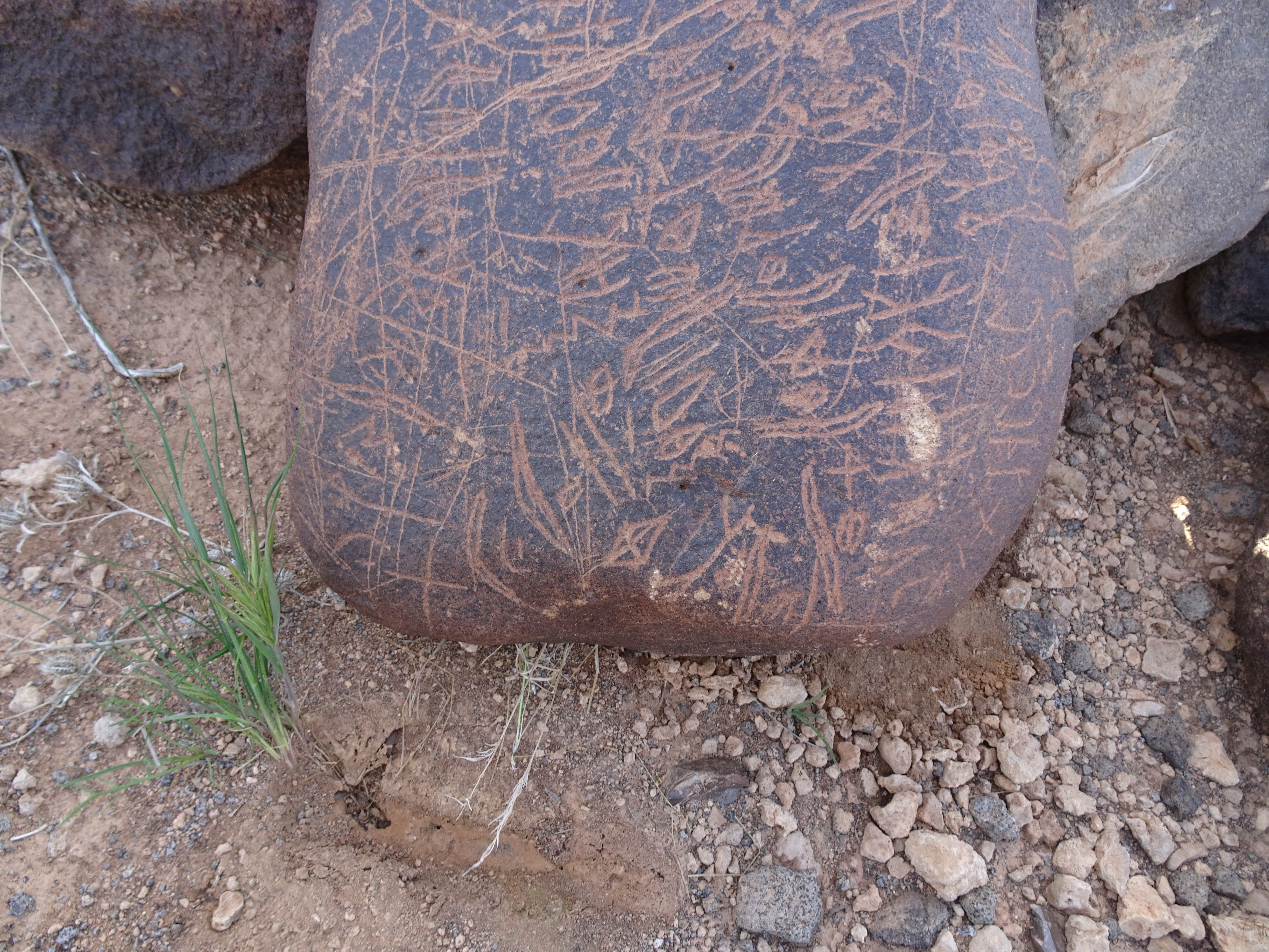 Image of siglum BES20 1699