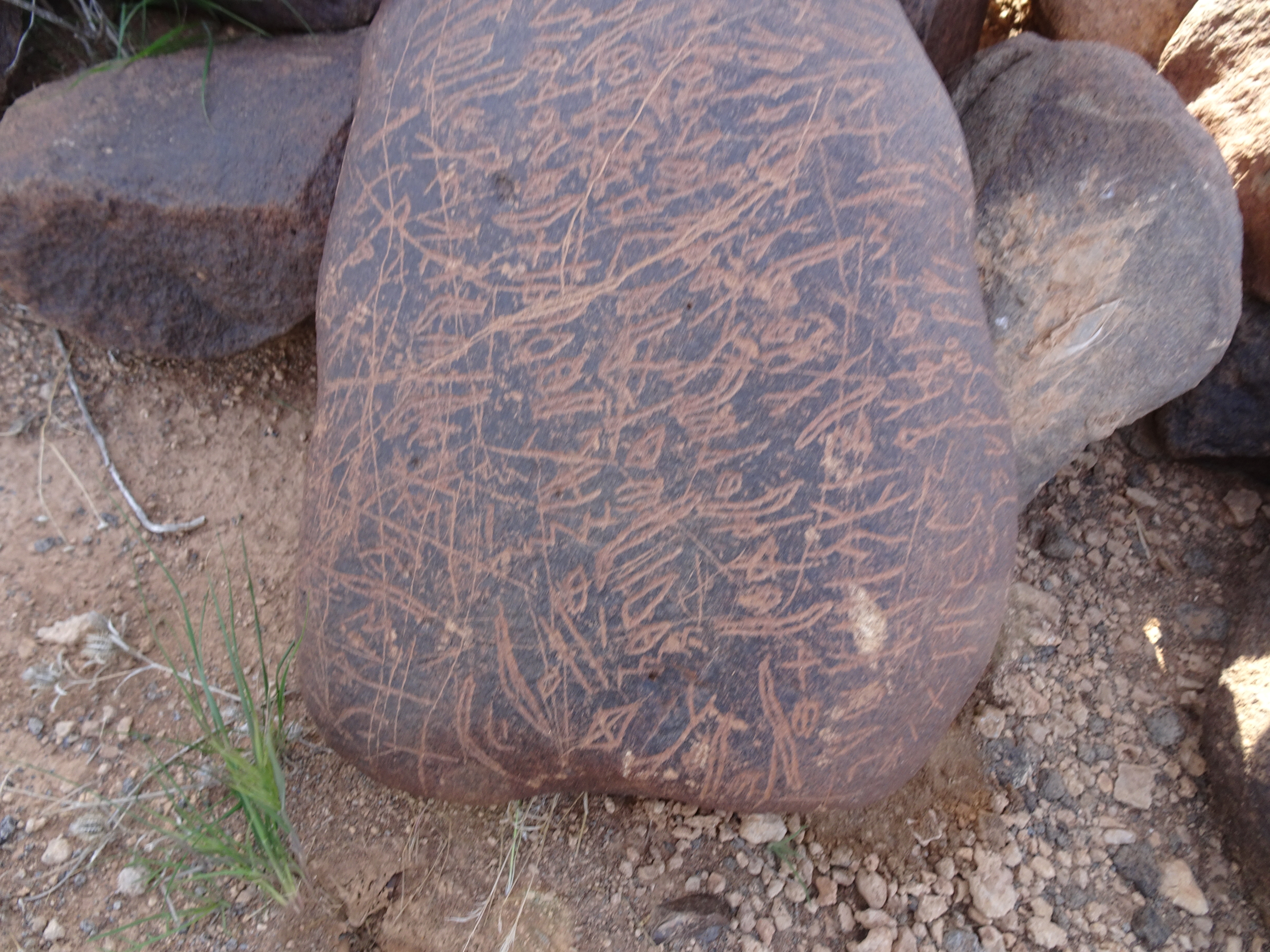 Image of siglum BES20 1699