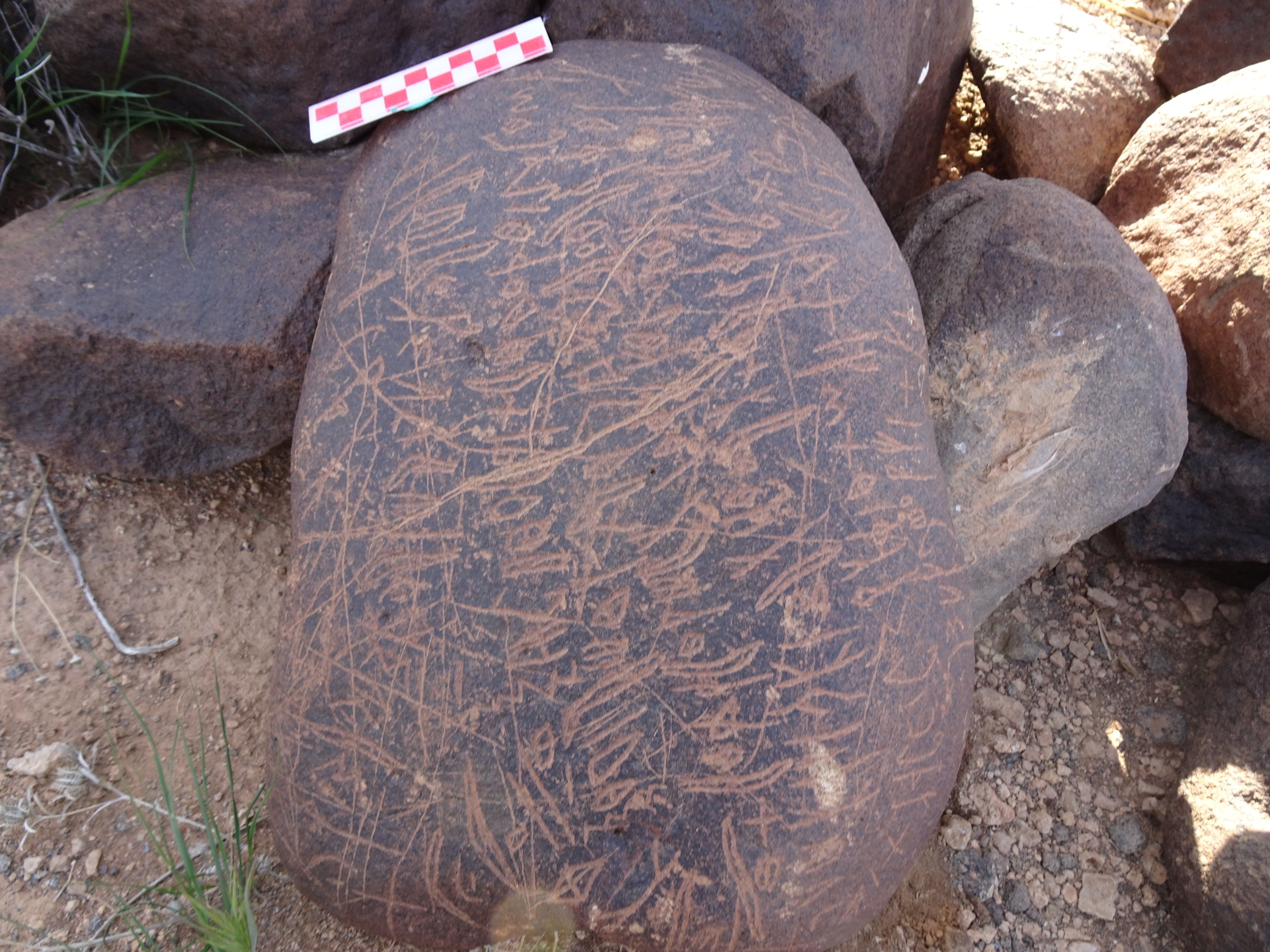 Image of siglum BES20 1699