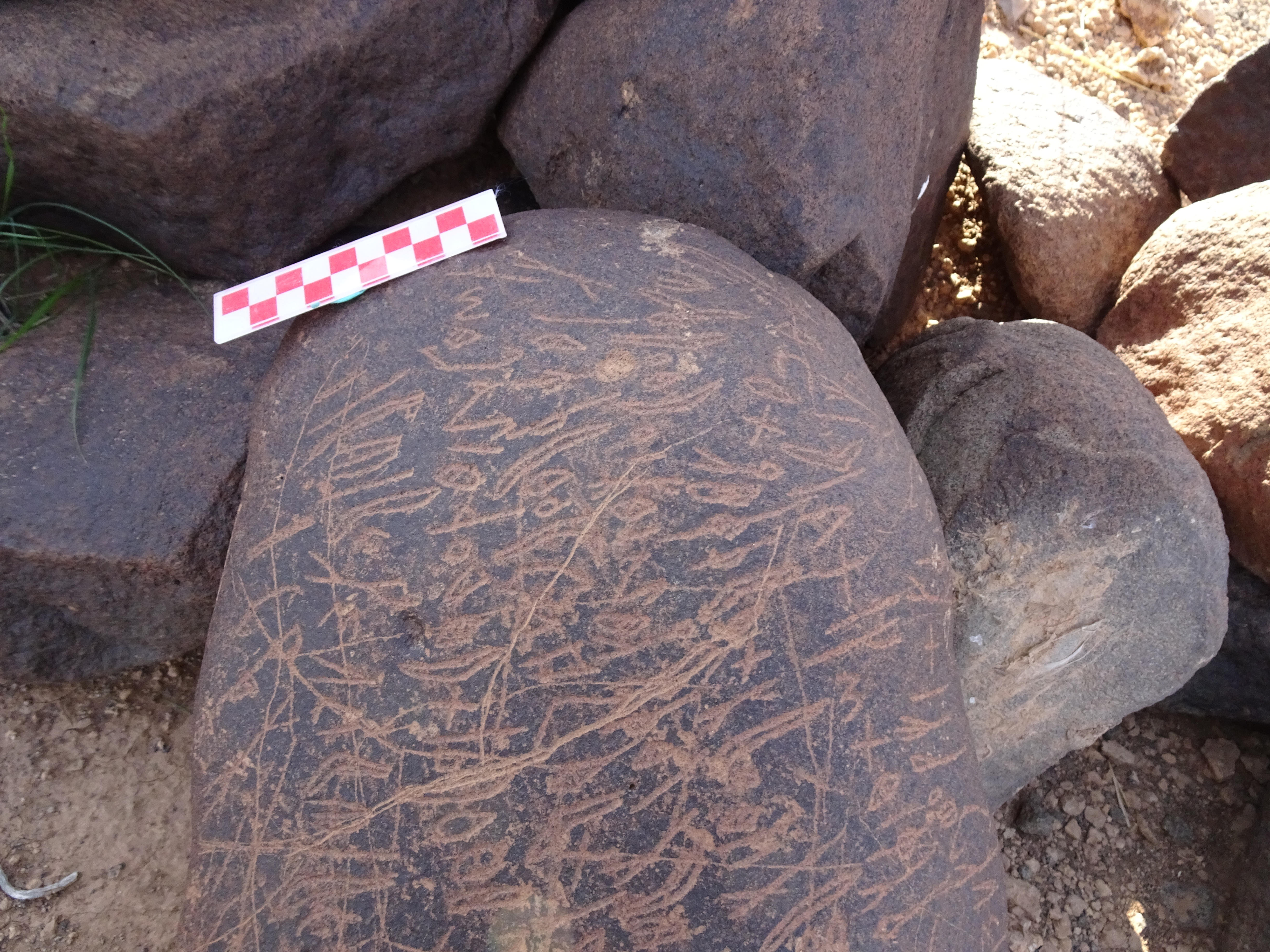 Image of siglum BES20 1699