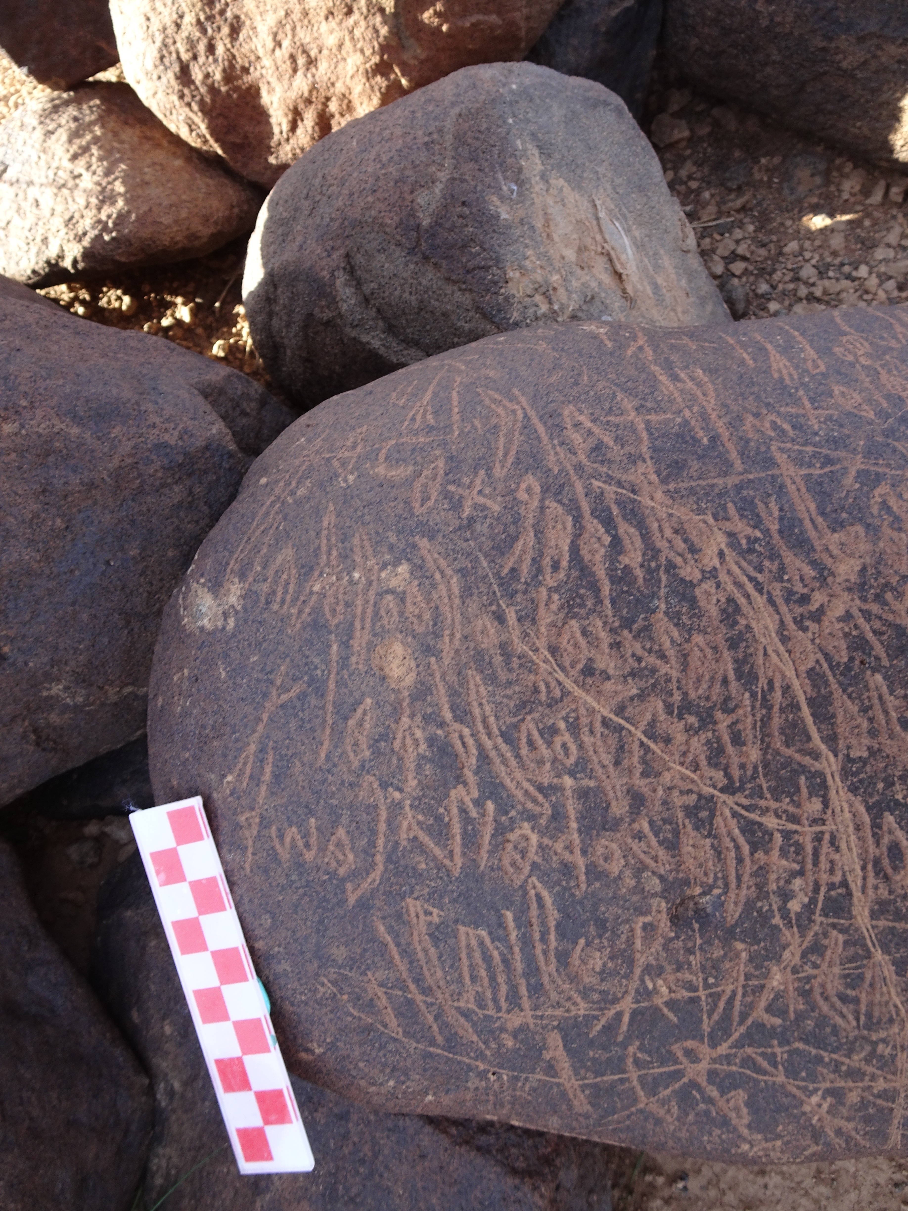 Image of siglum BES20 1699