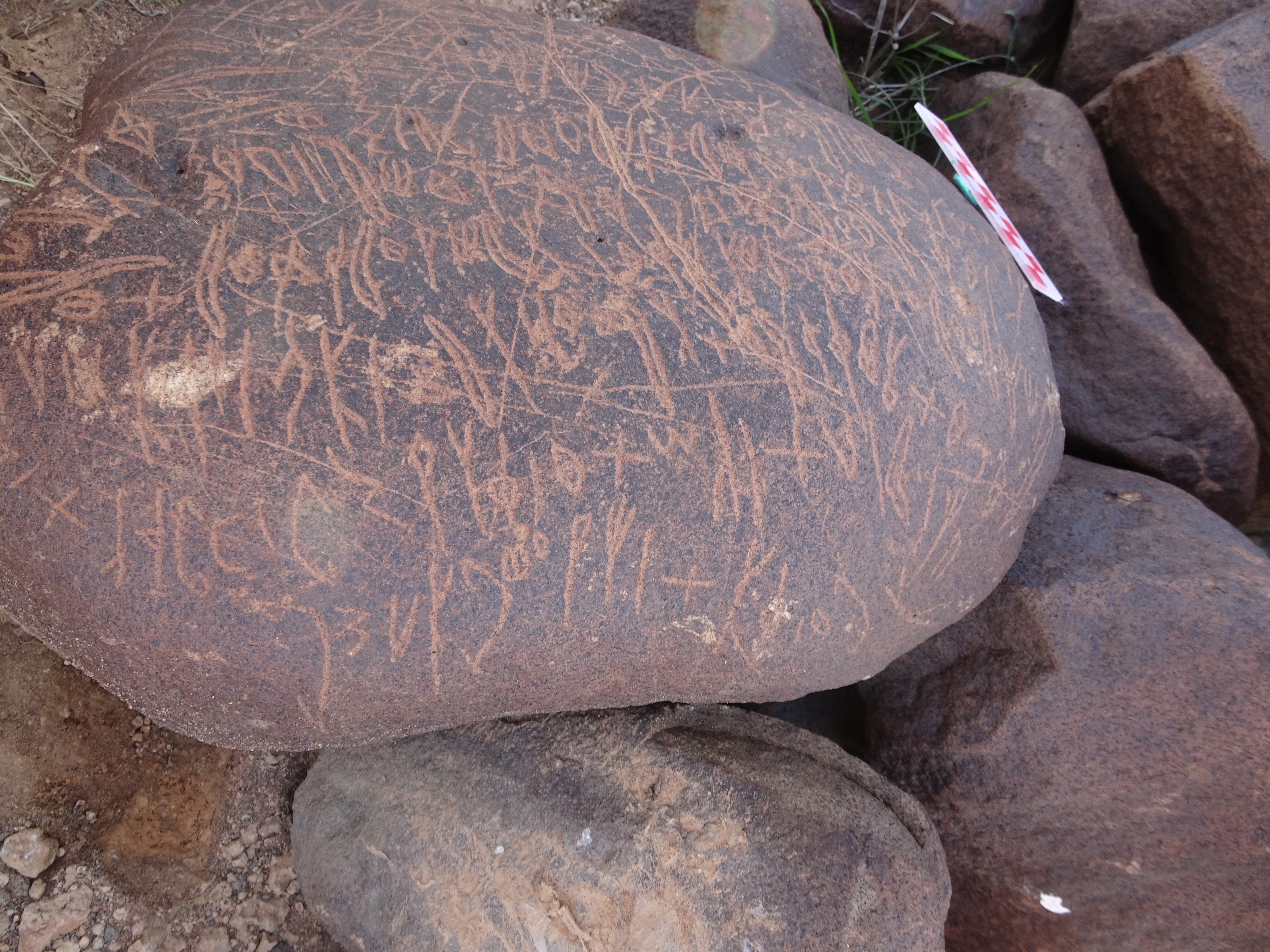 Image of siglum BES20 1699