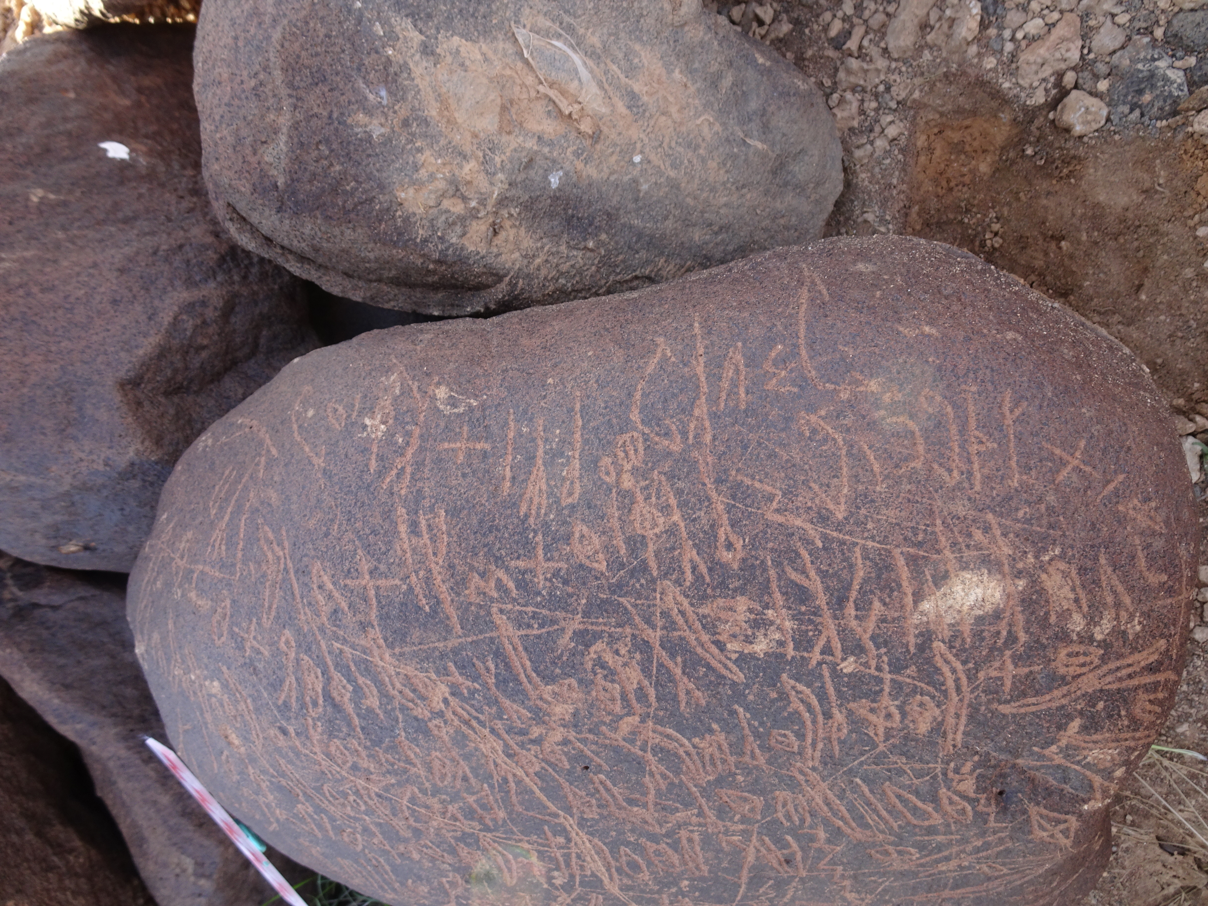 Image of siglum BES20 1699