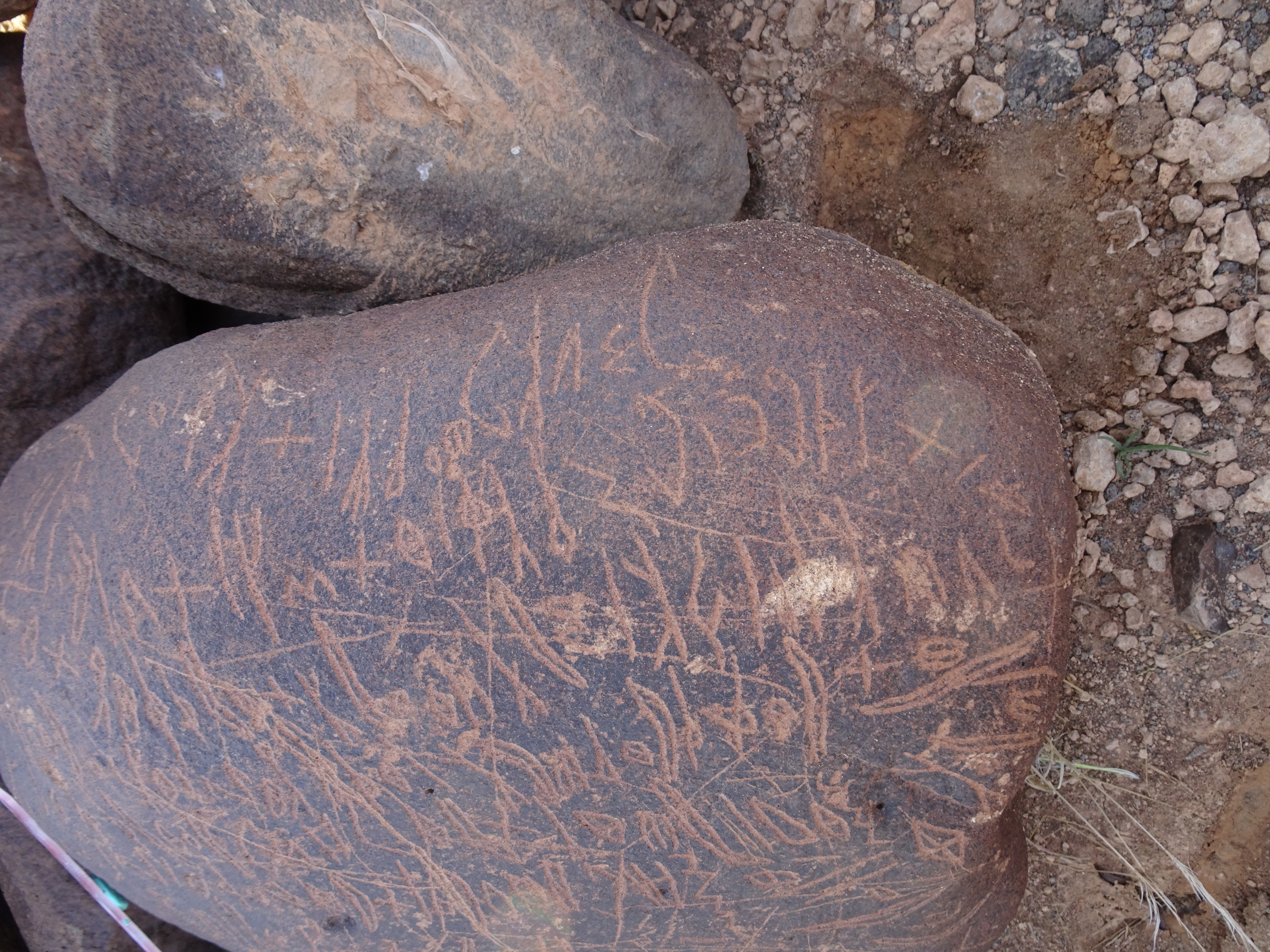 Image of siglum BES20 1699