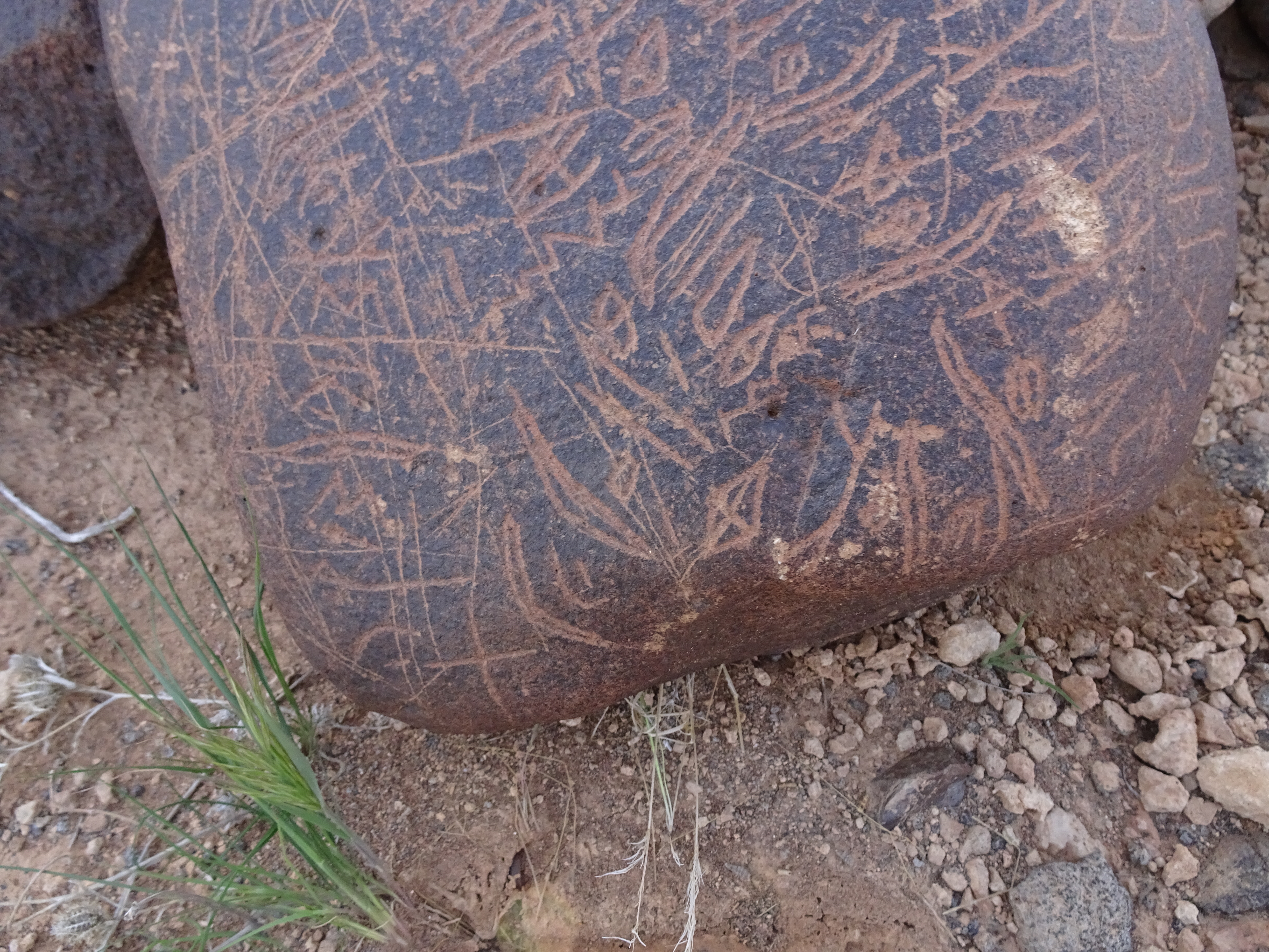 Image of siglum BES20 1699