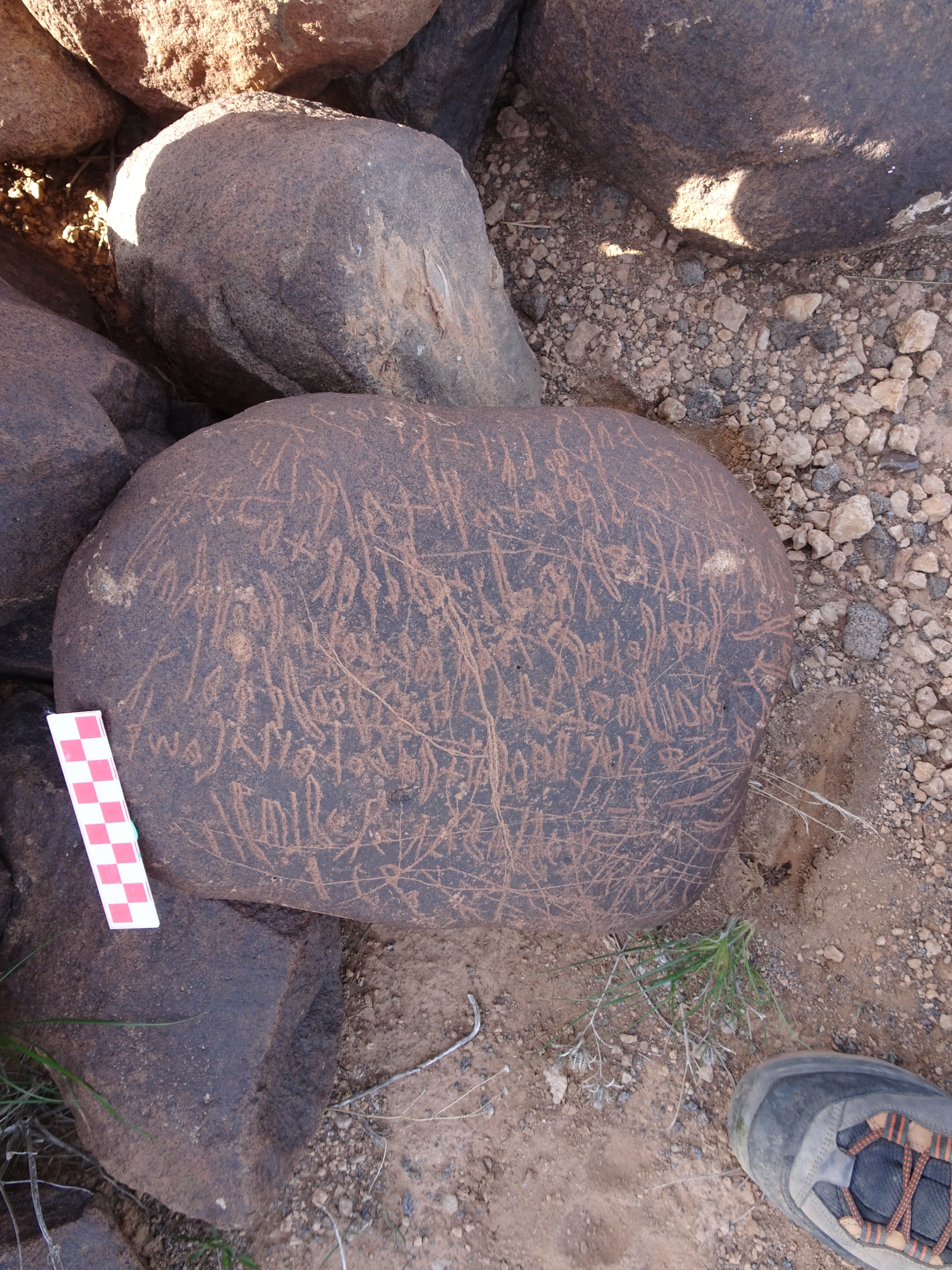 Image of siglum BES20 1699