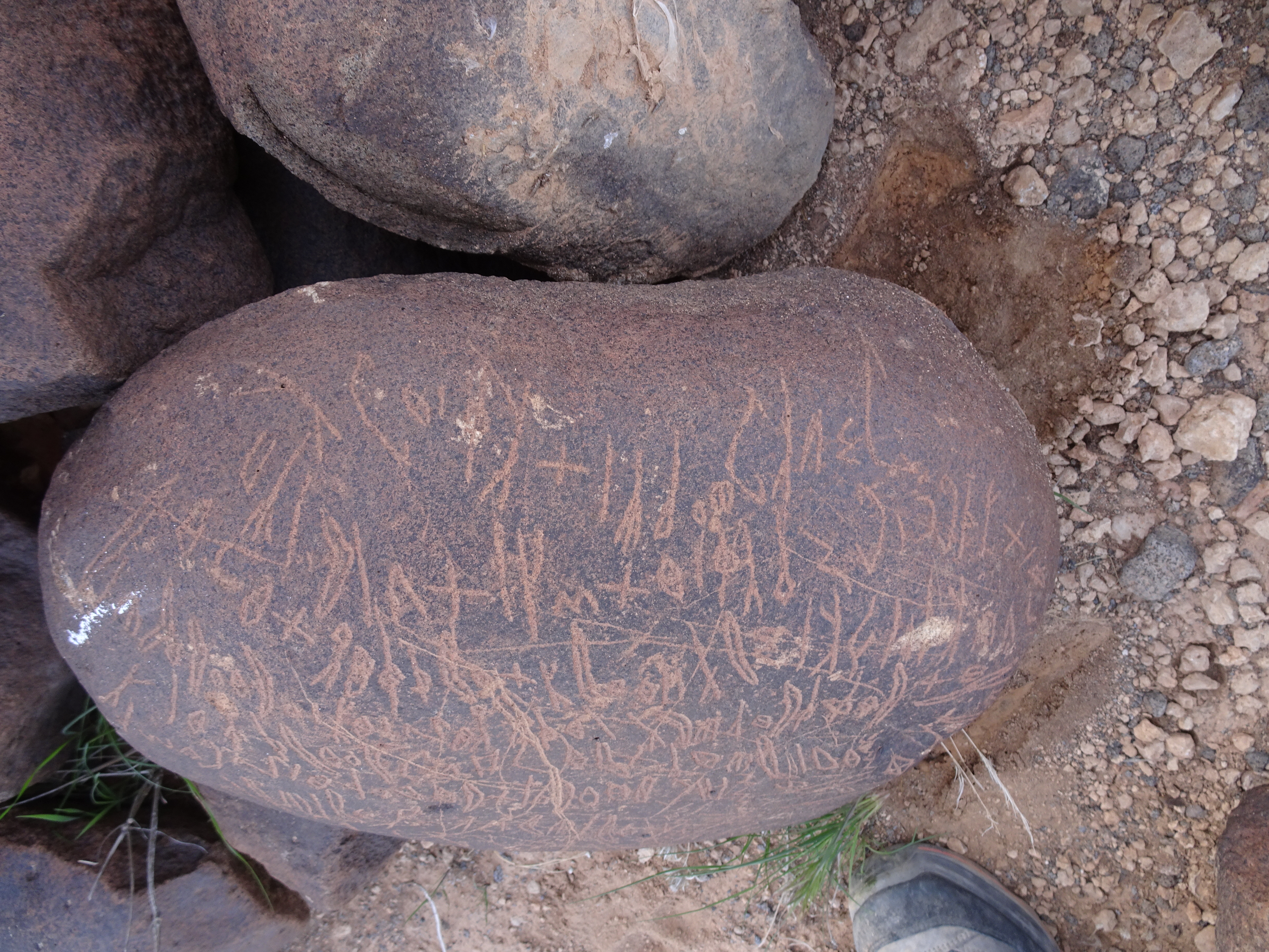 Image of siglum BES20 1699