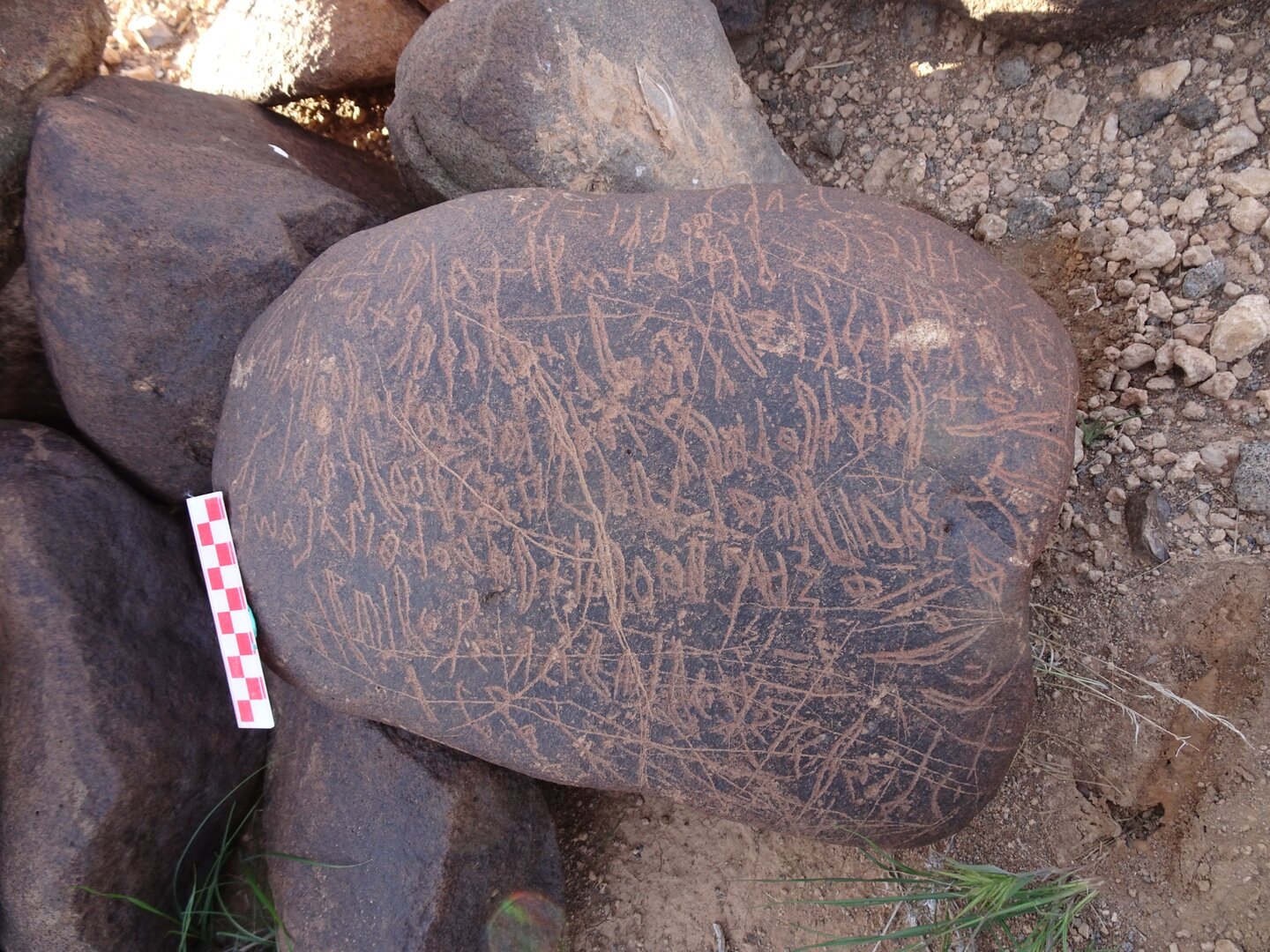 Image of siglum BES20 1699