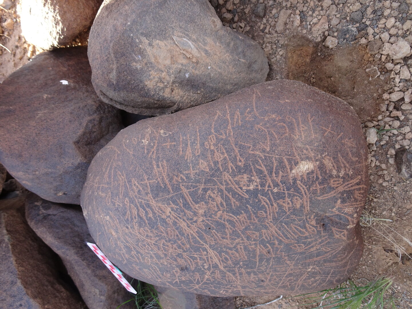 Image of siglum BES20 1699