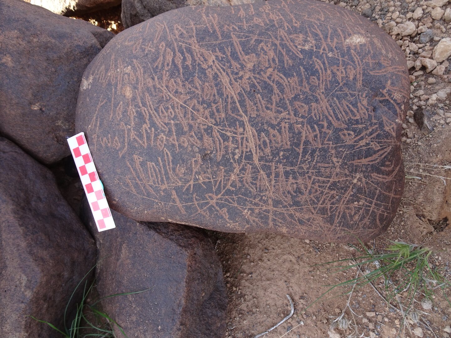 Image of siglum BES20 1699