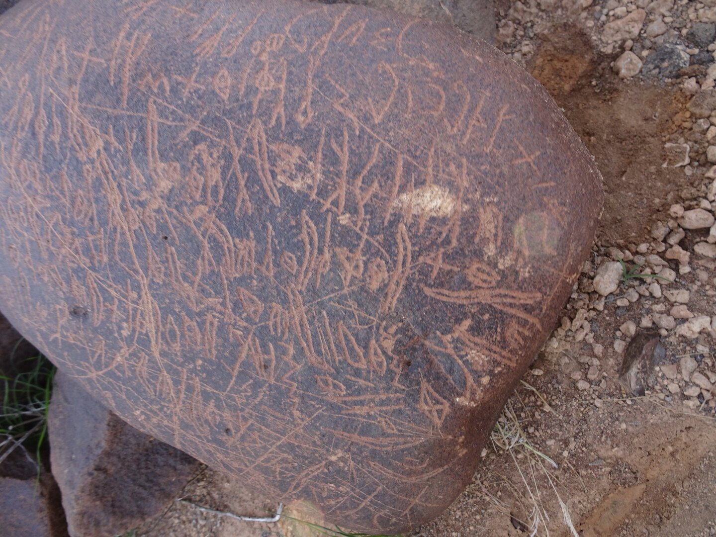 Image of siglum BES20 1699