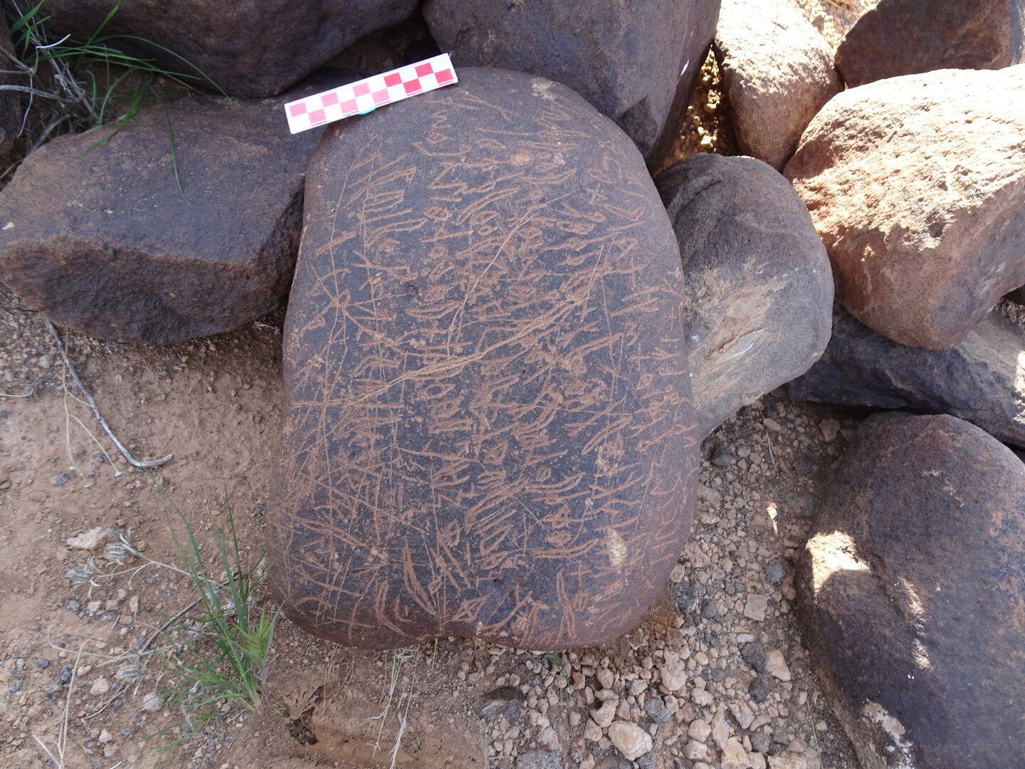Image of siglum BES20 1699
