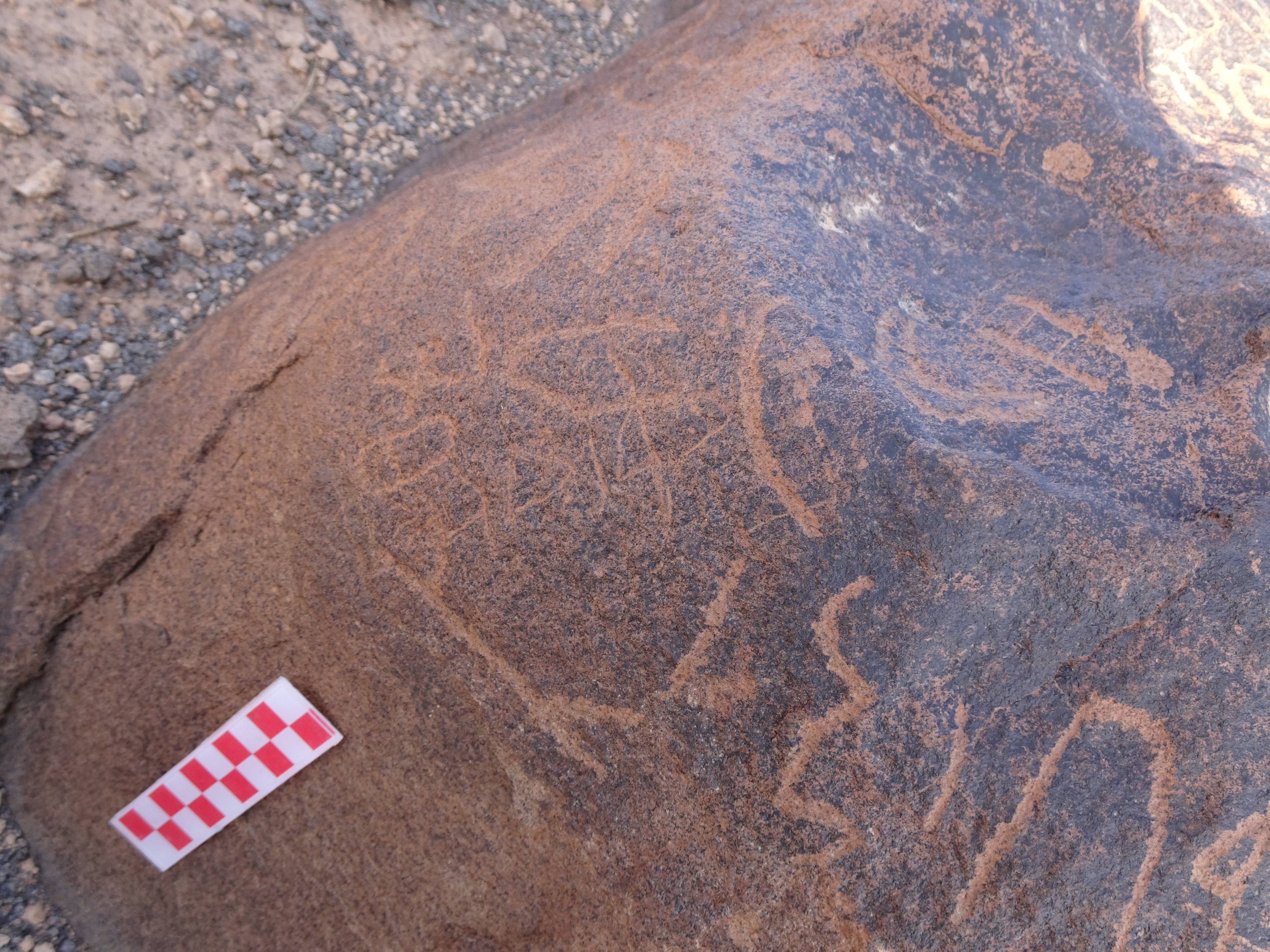 Image of siglum BES20 1709