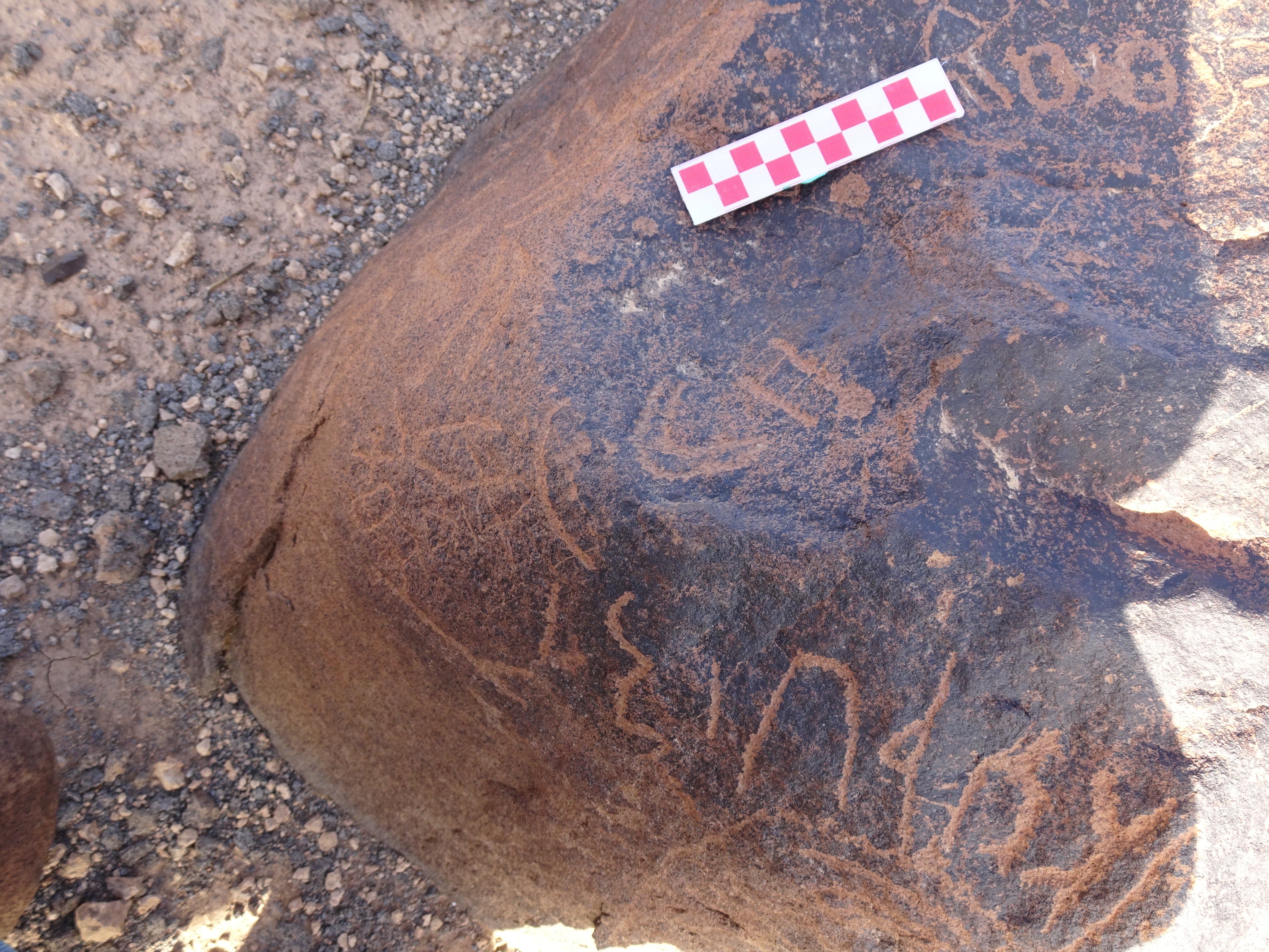 Image of siglum BES20 1709