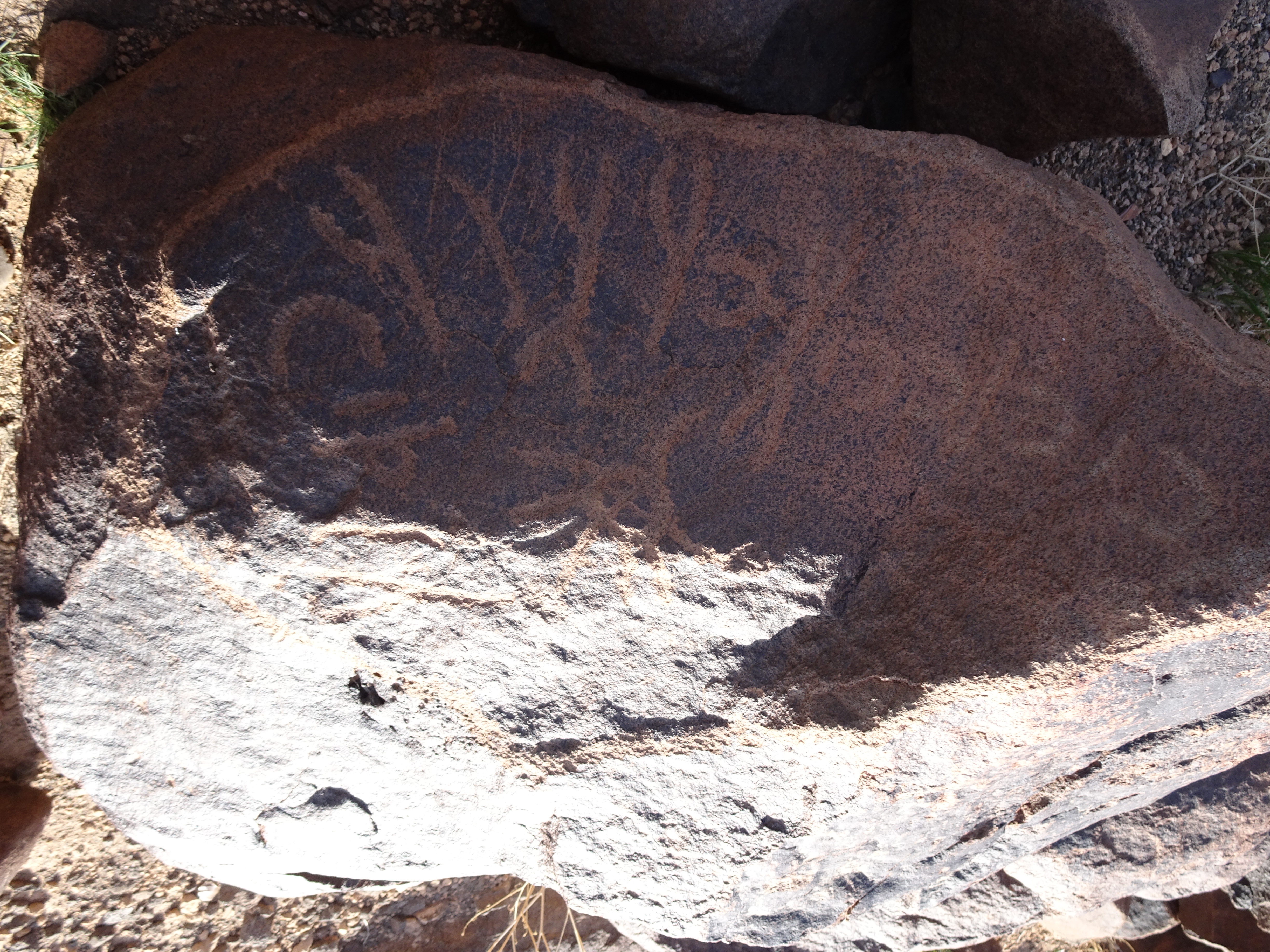 Image of siglum BES20 1715