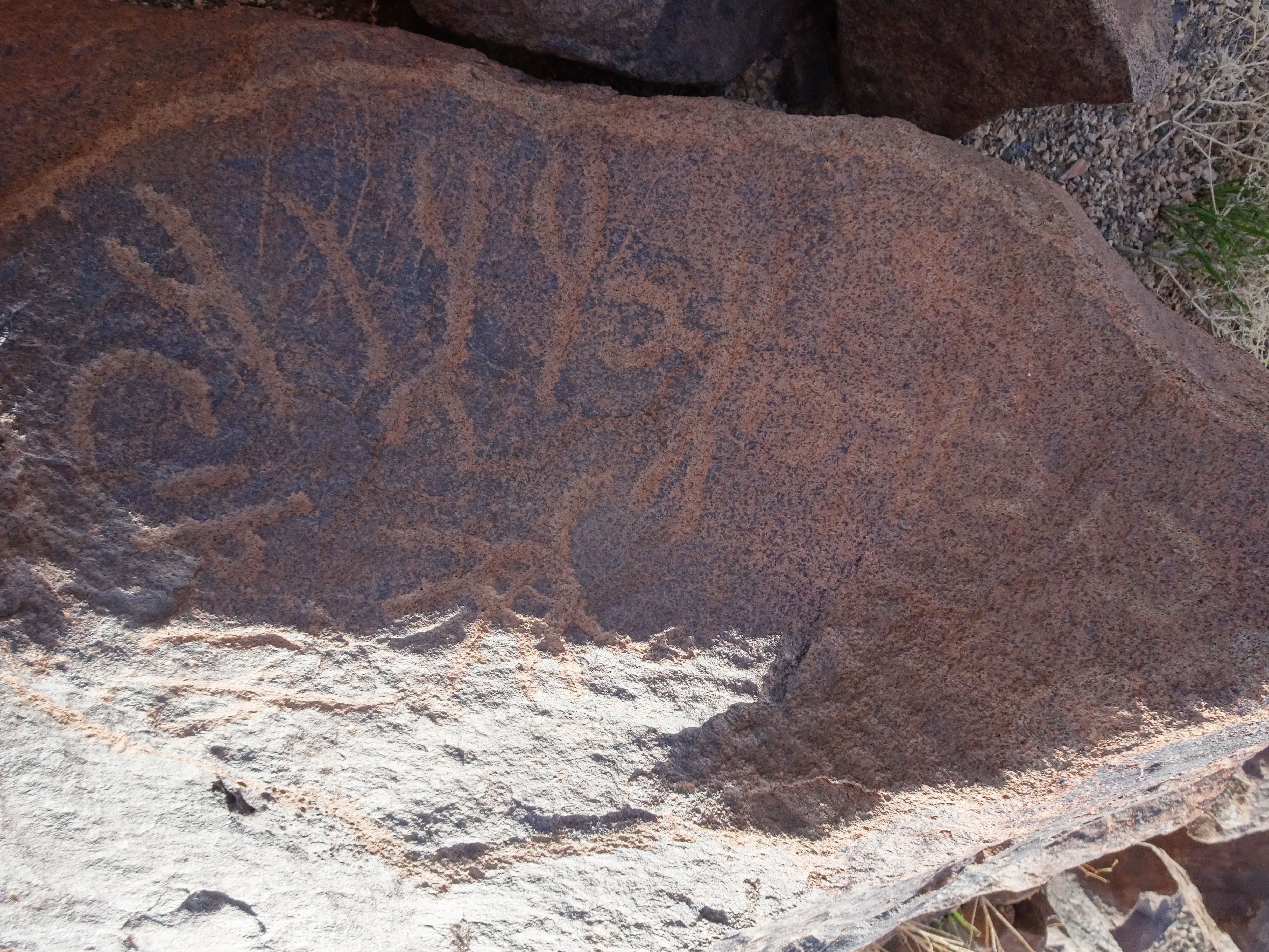 Image of siglum BES20 1715