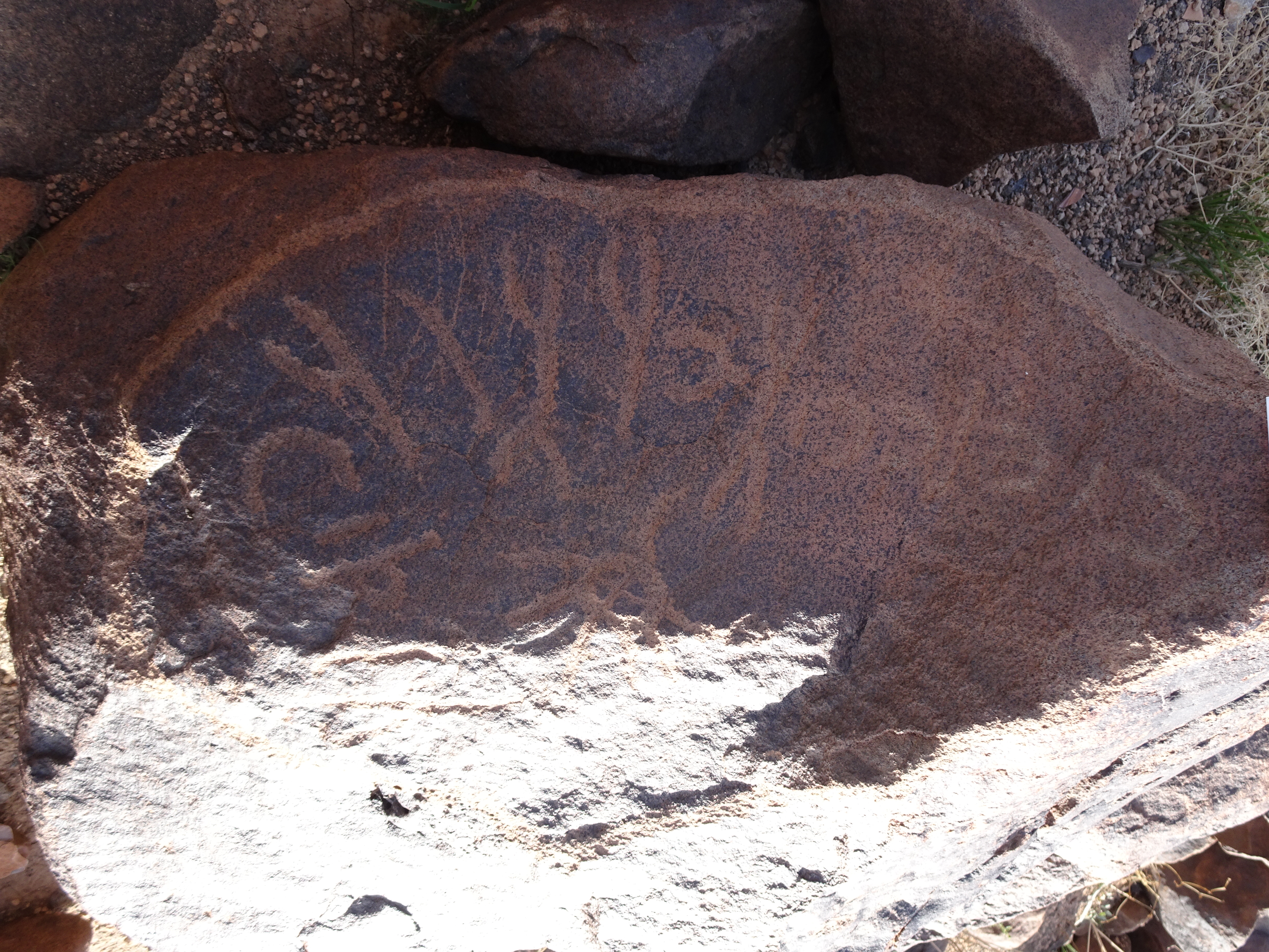 Image of siglum BES20 1715