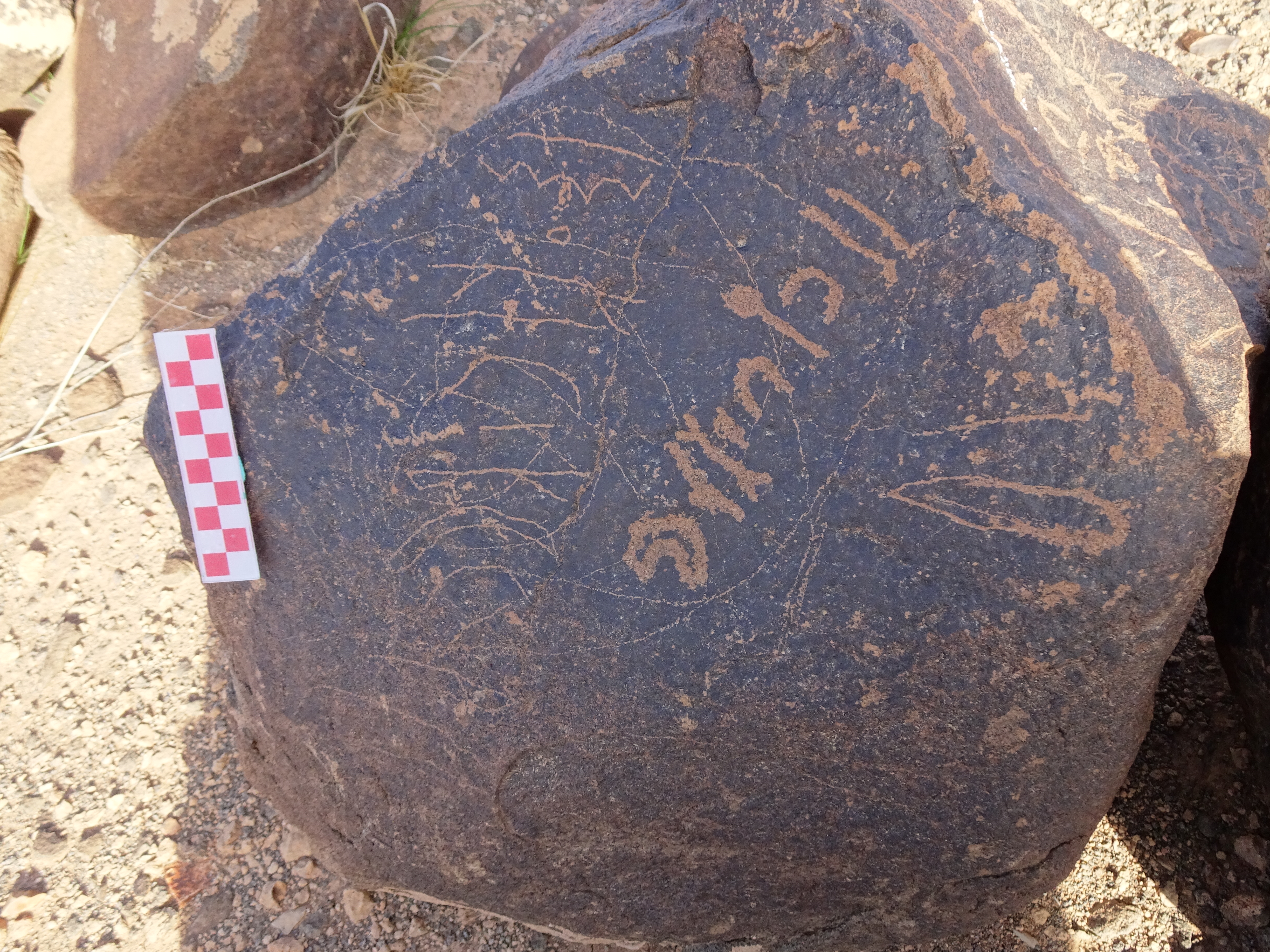 Image of siglum BES20 1718