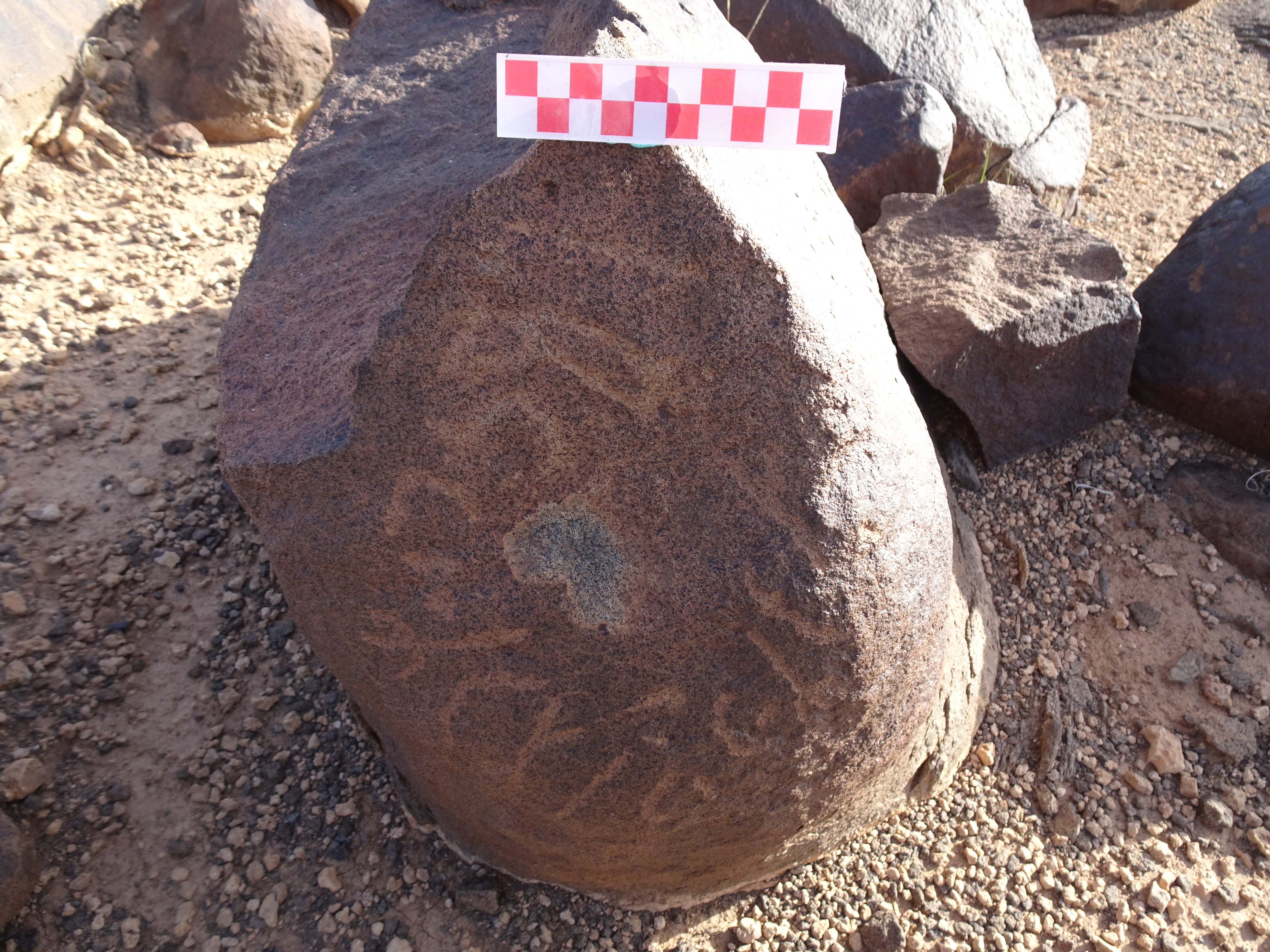 Image of siglum BES20 1719