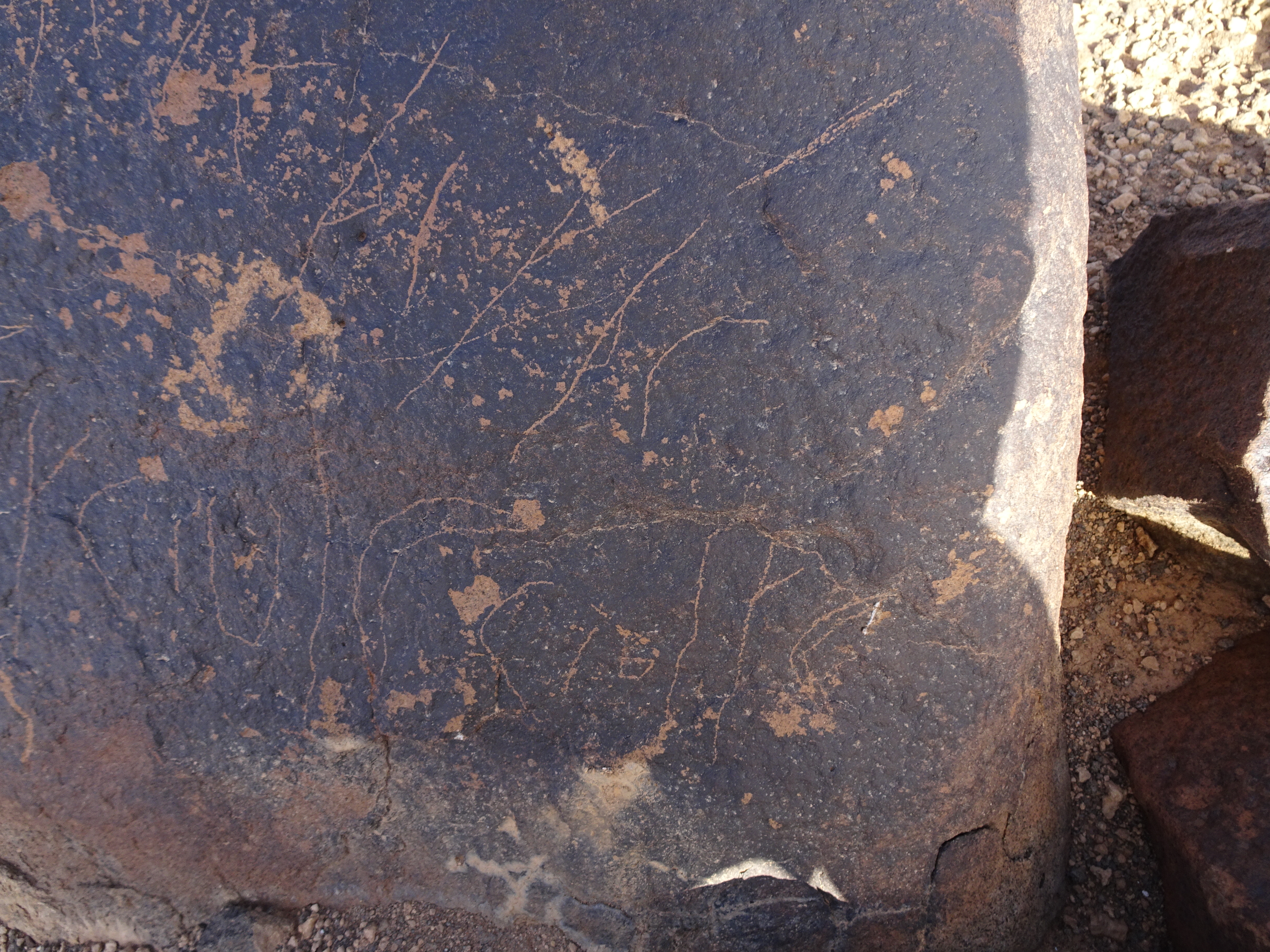 Image of siglum BES20 1721