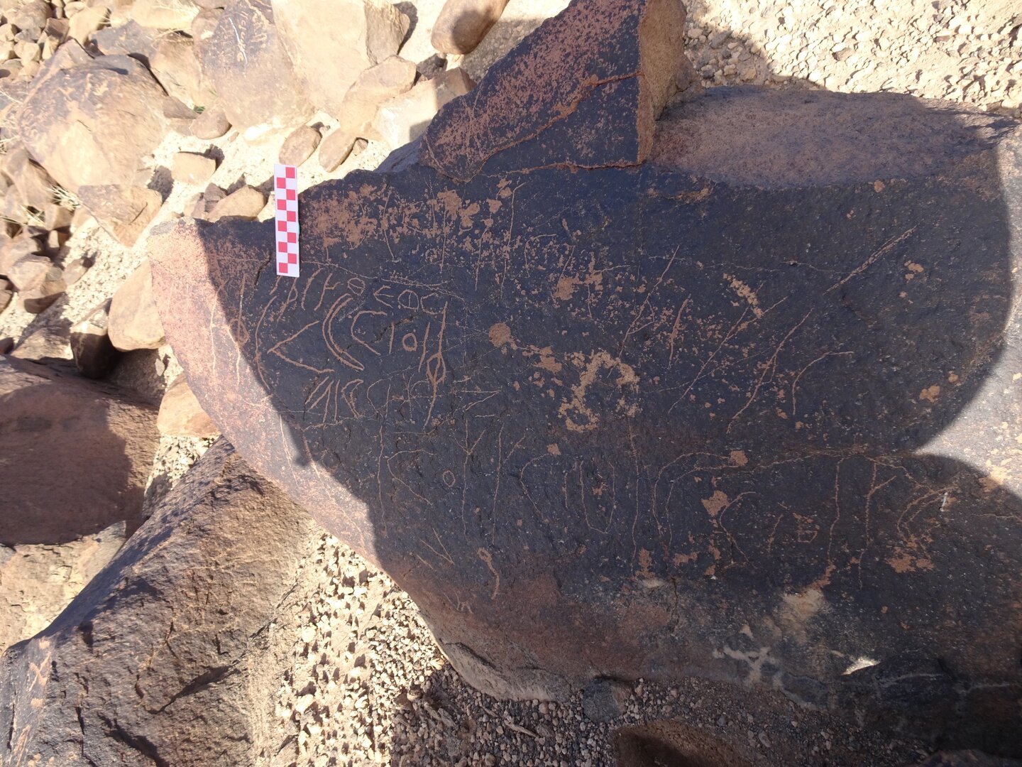 Image of siglum BES20 1721