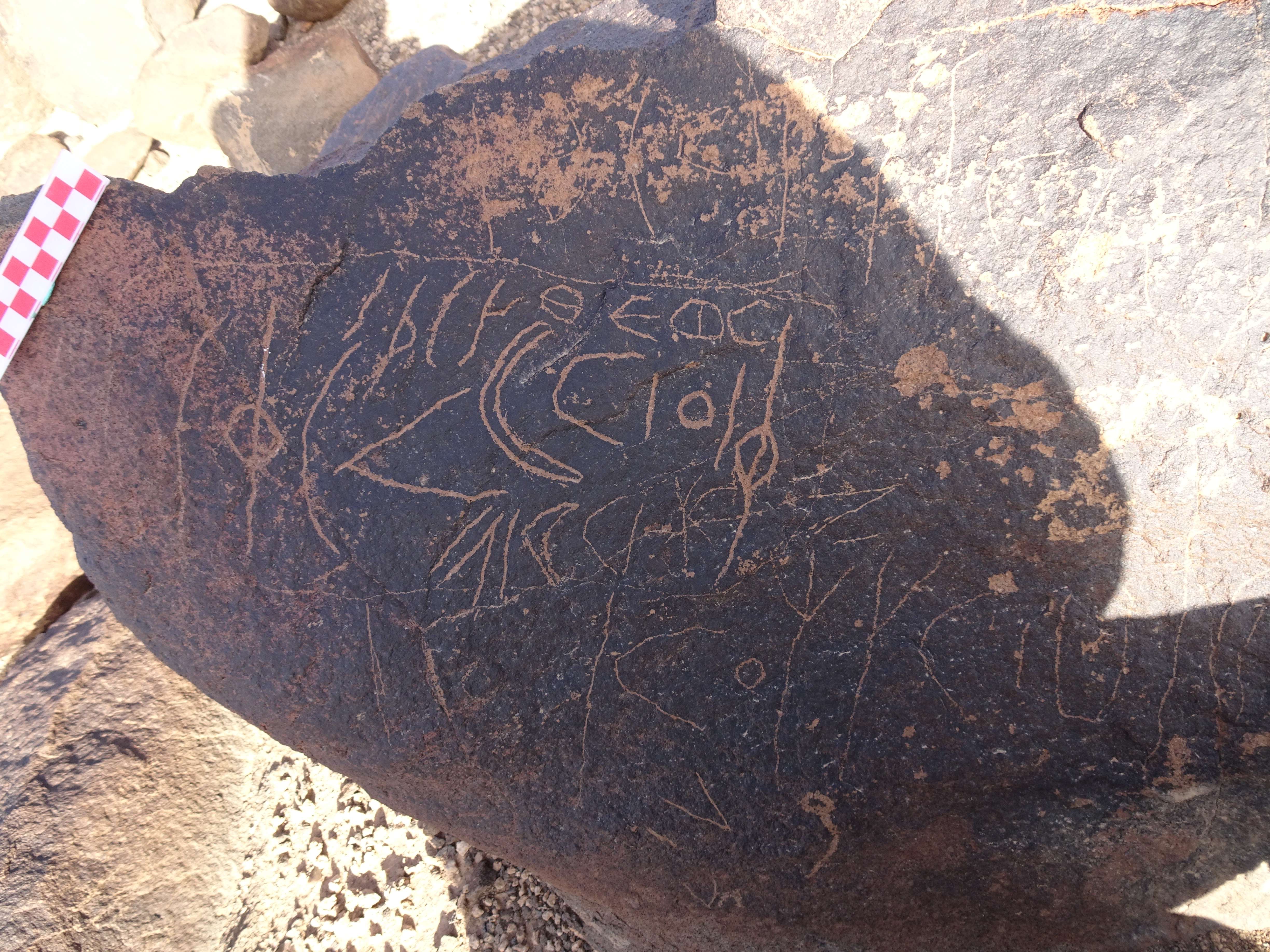 Image of siglum BES20 1722