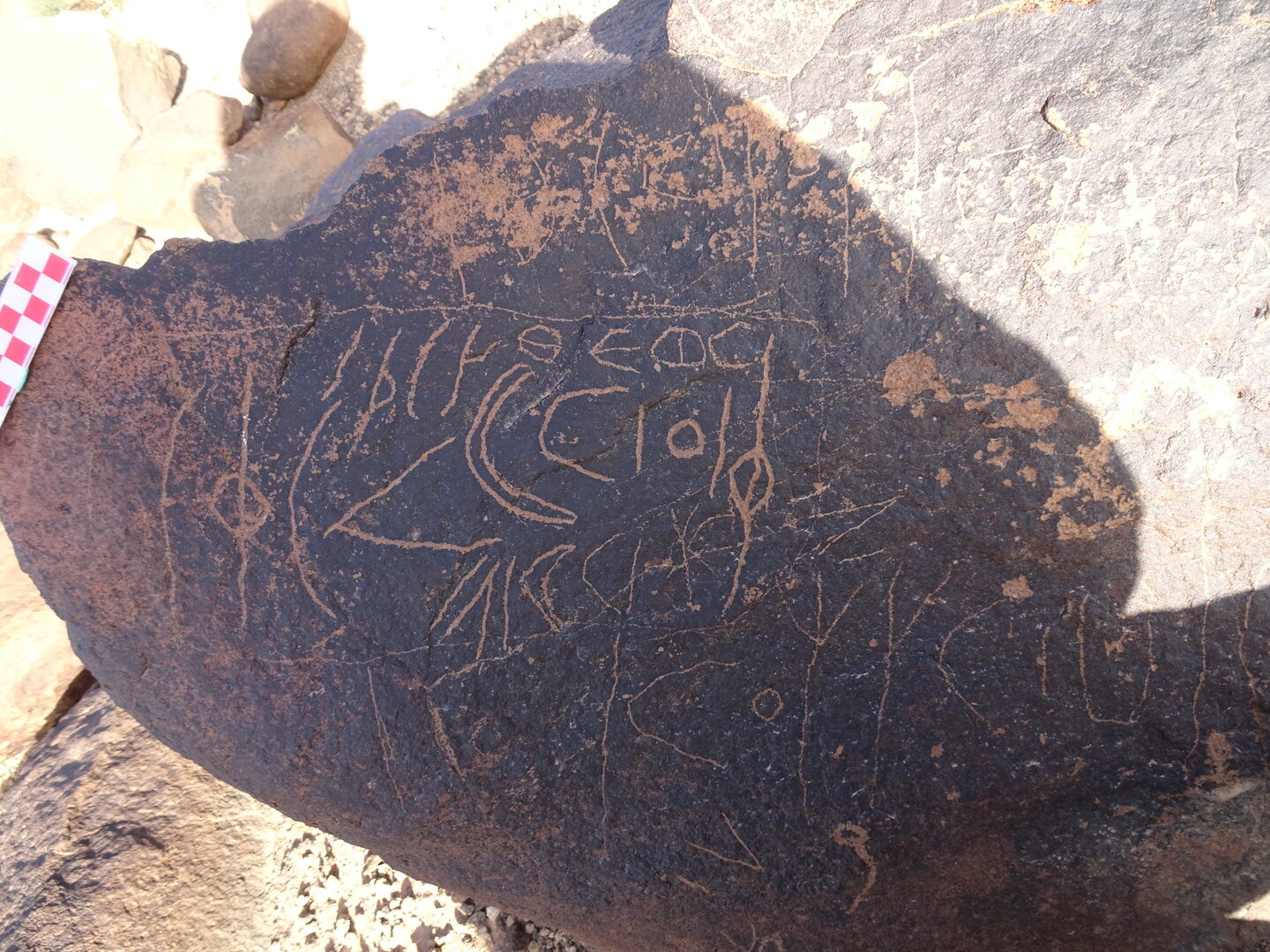 Image of siglum BES20 1722