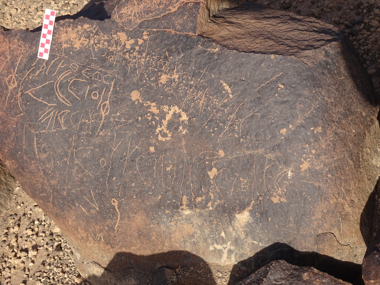 Image of siglum BES20 1722
