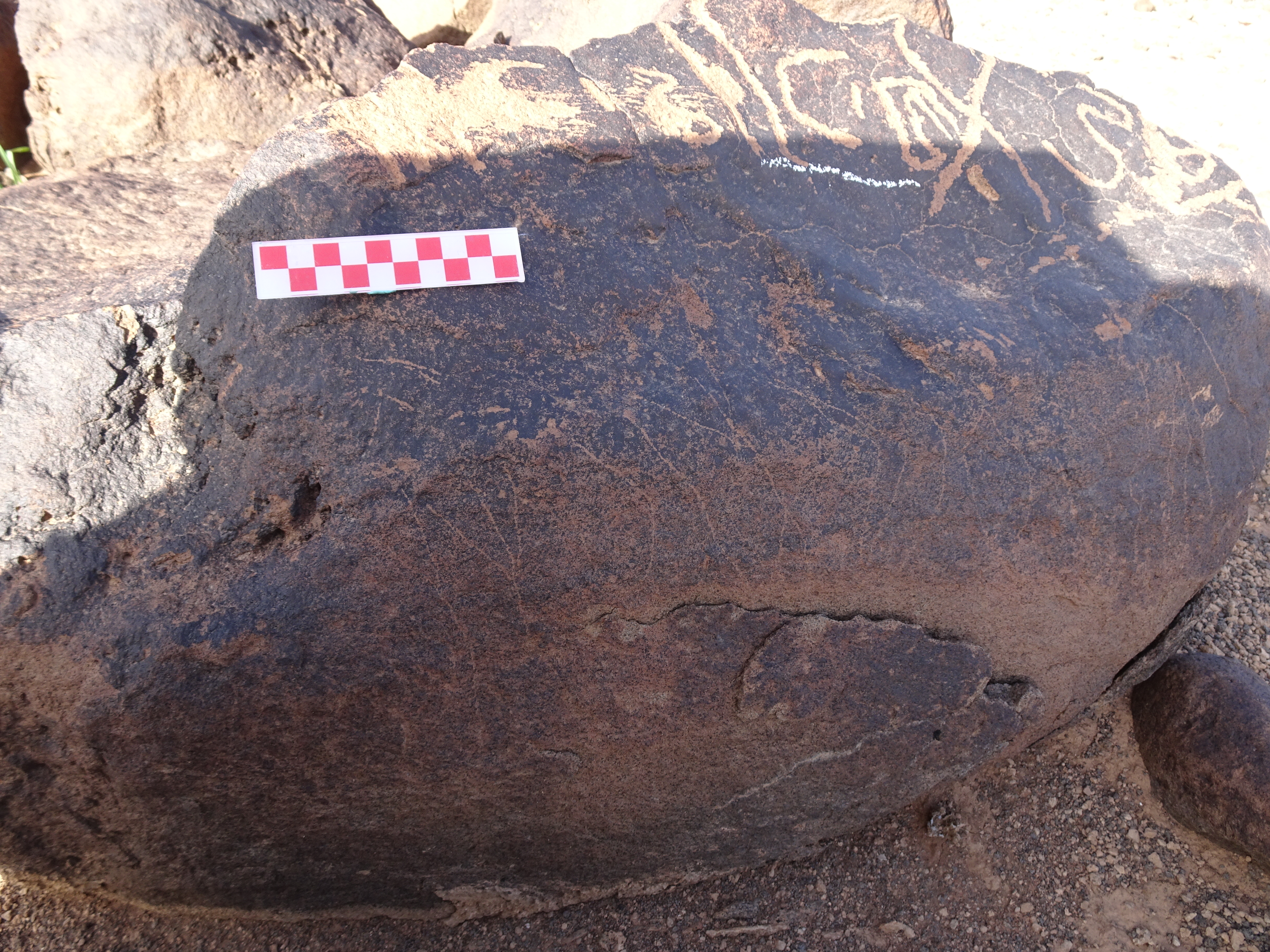 Image of siglum BES20 1726