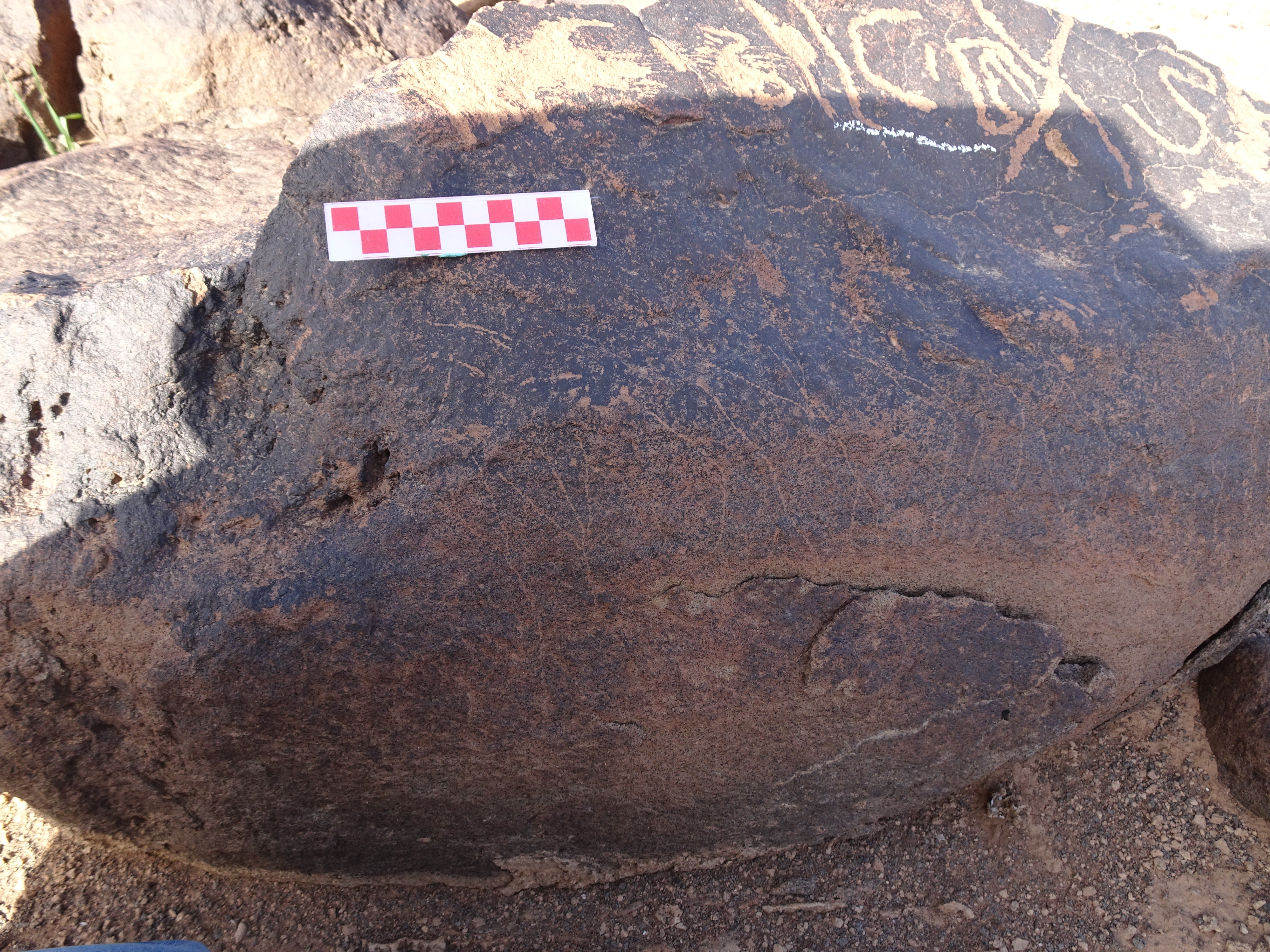 Image of siglum BES20 1726