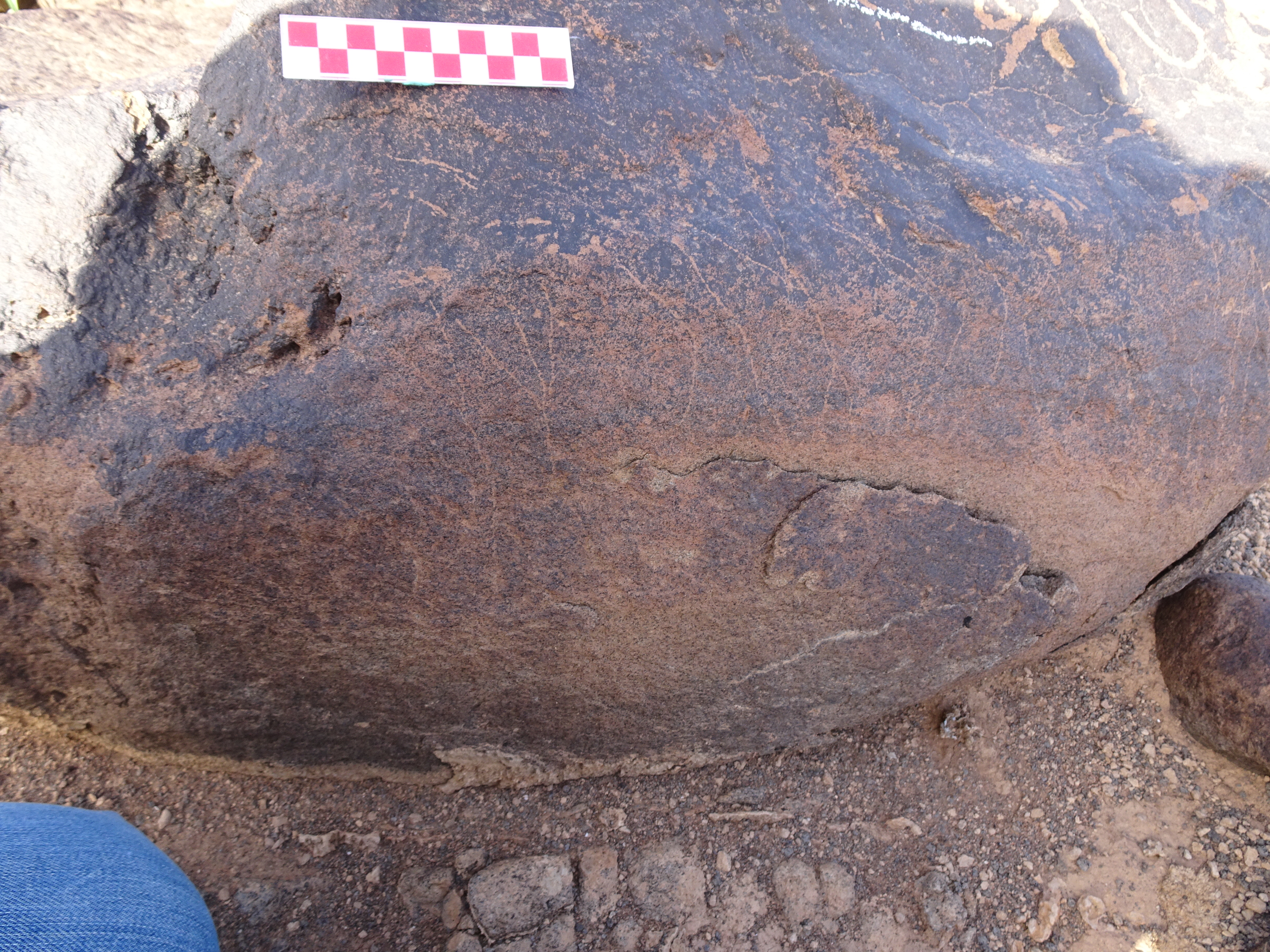 Image of siglum BES20 1726