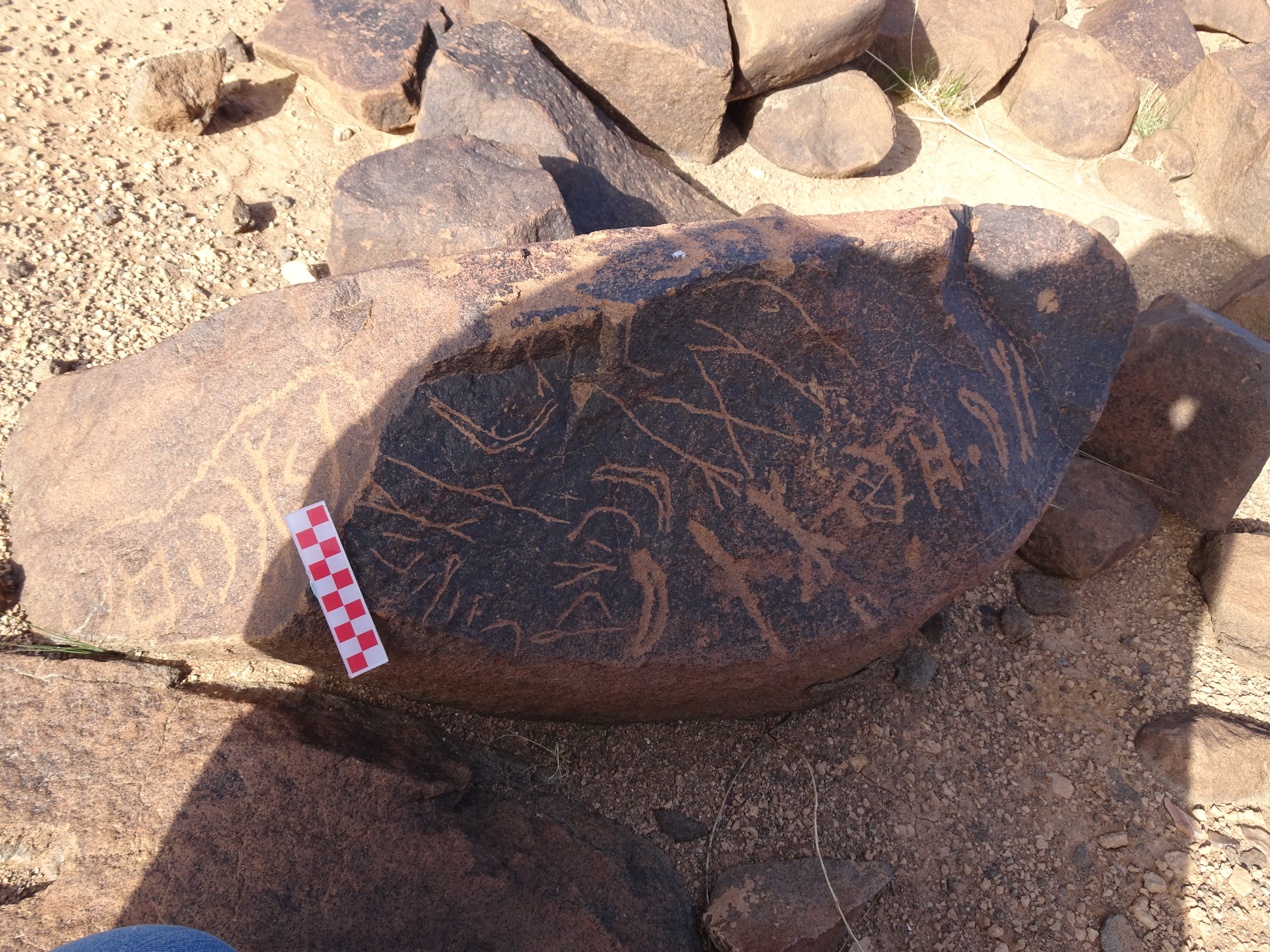 Image of siglum BES20 1731