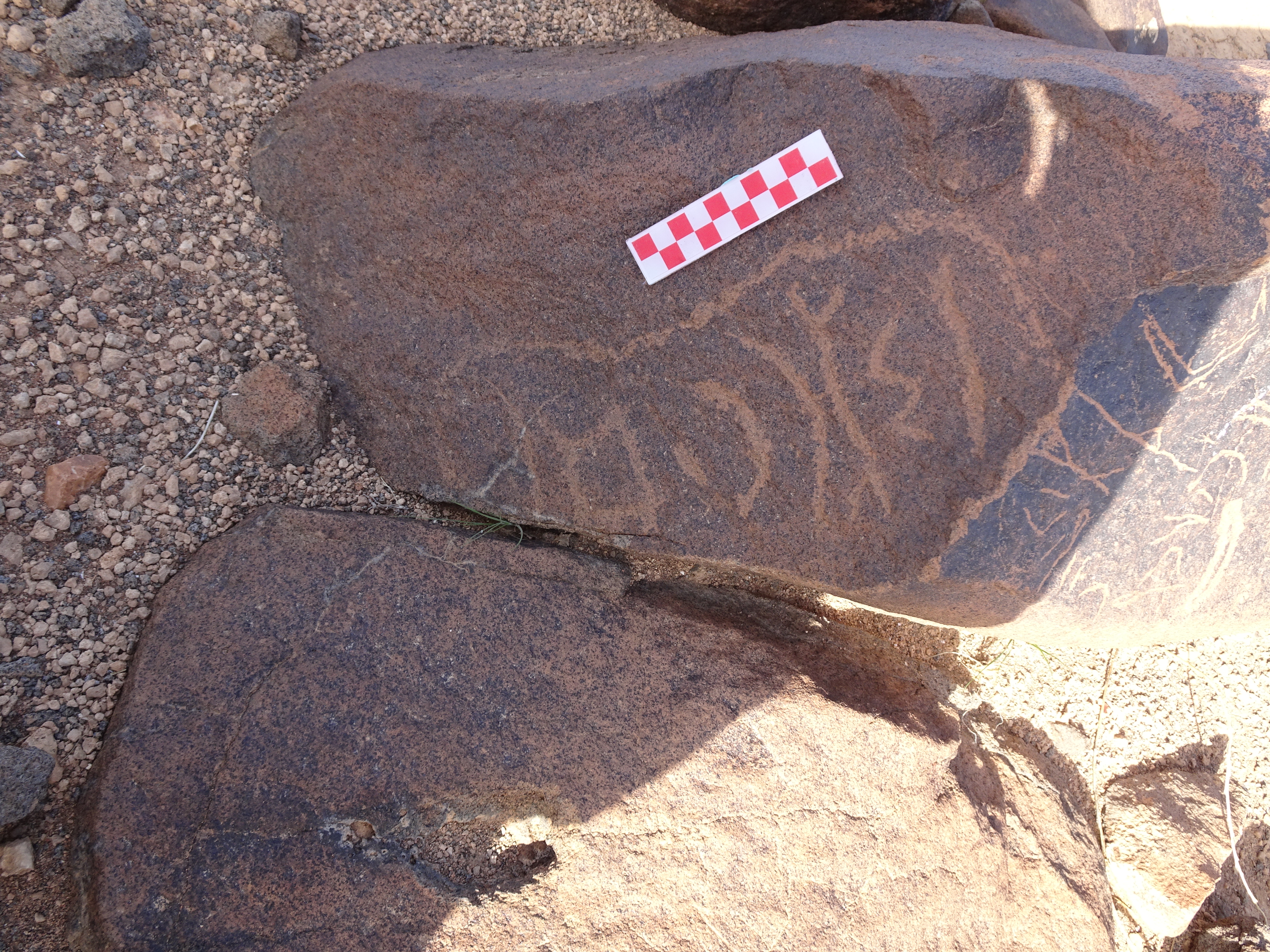 Image of siglum BES20 1733