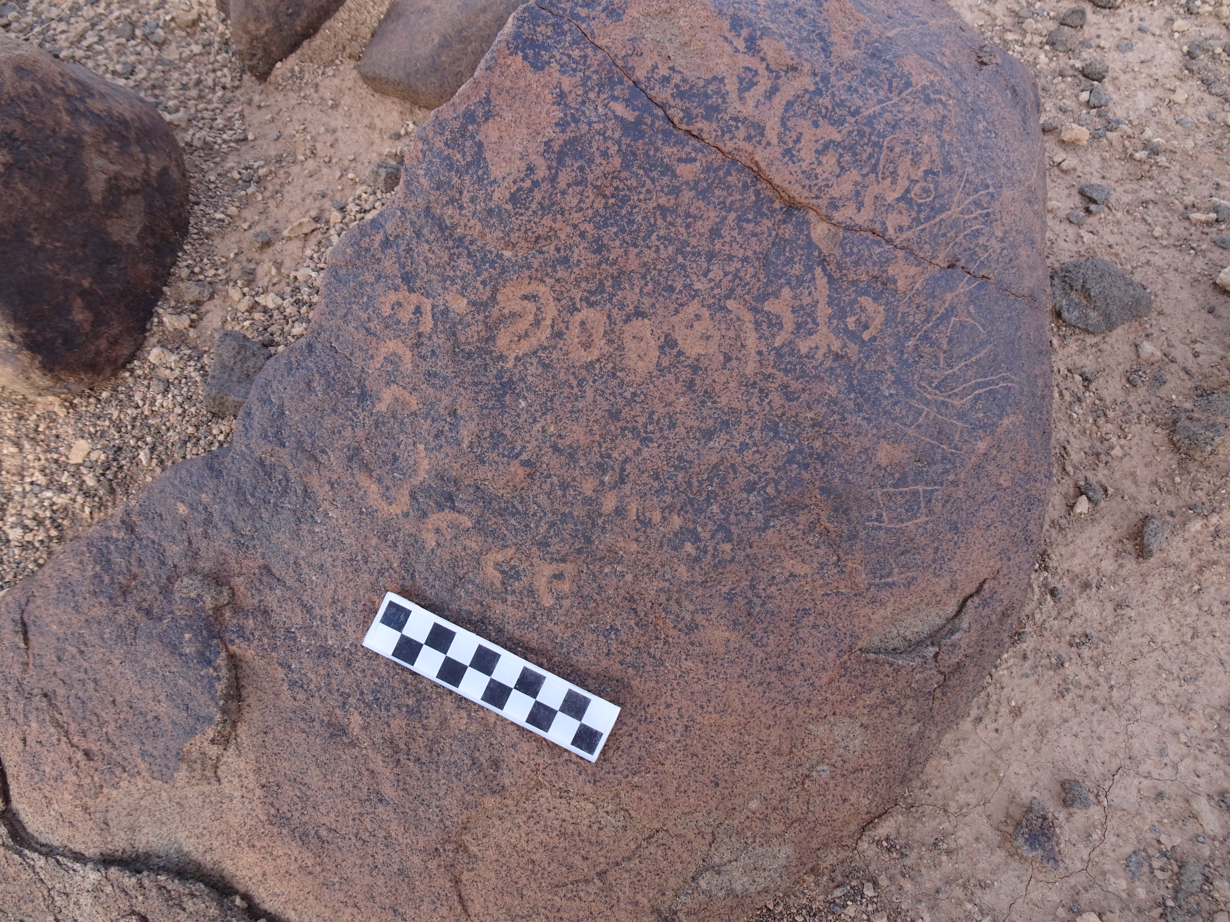 Image of siglum BES20 1737